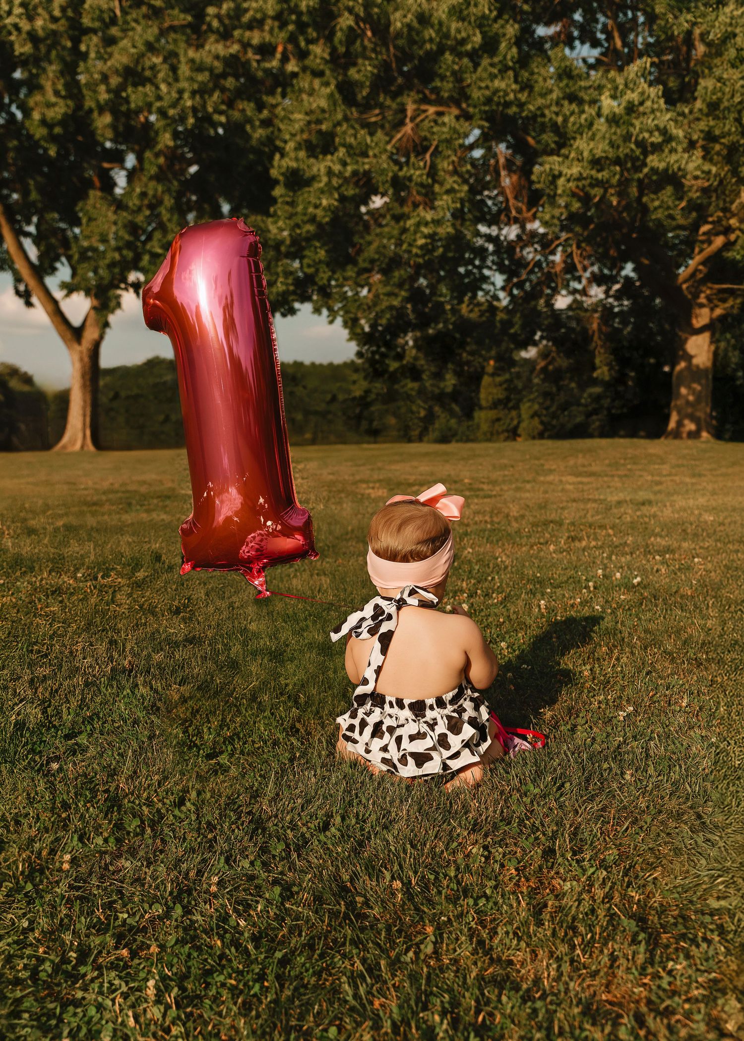 First birthday portrait session in Chicago