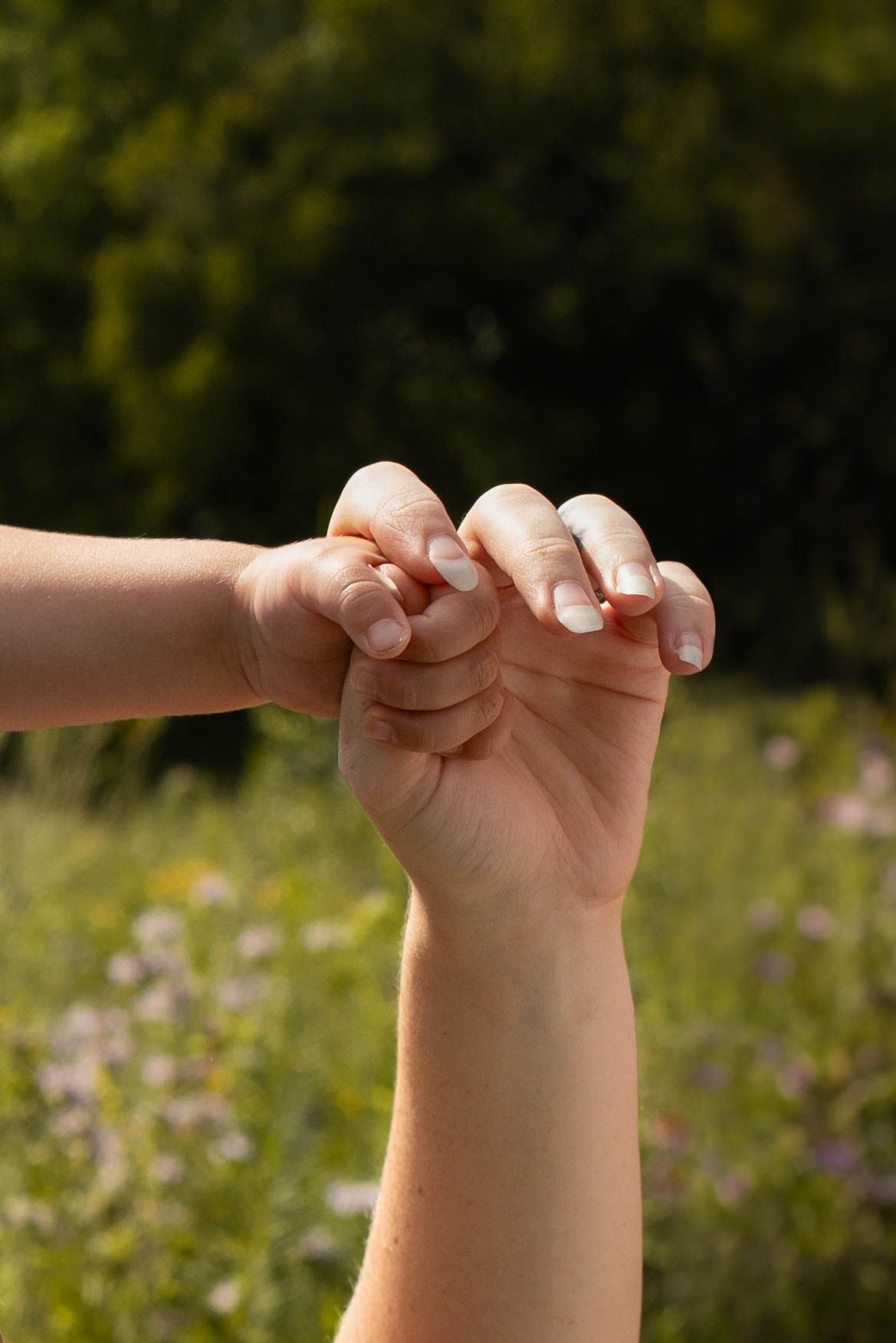 Family photography session detail shot of hands in Central Illinois