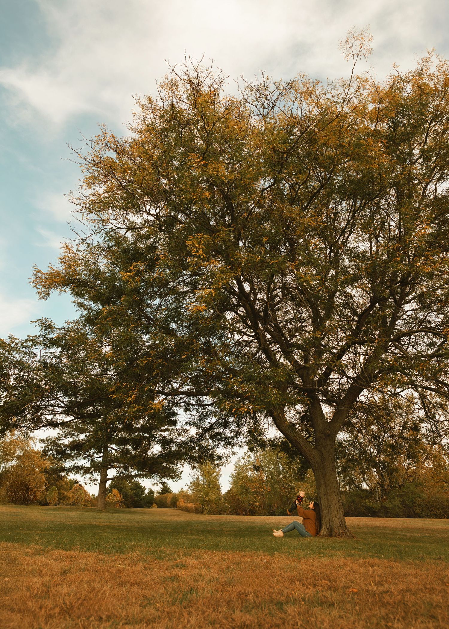 Fall family portraits at Donovan Park in Peoria, IL