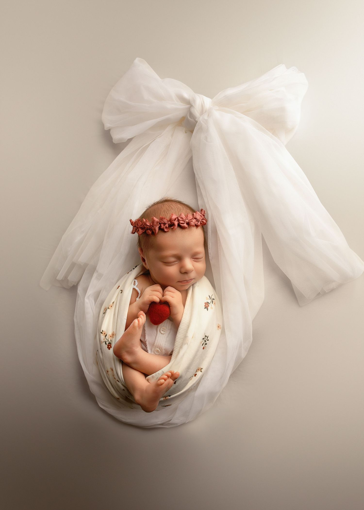 Posed Newborn Session in studio in Peoria, IL