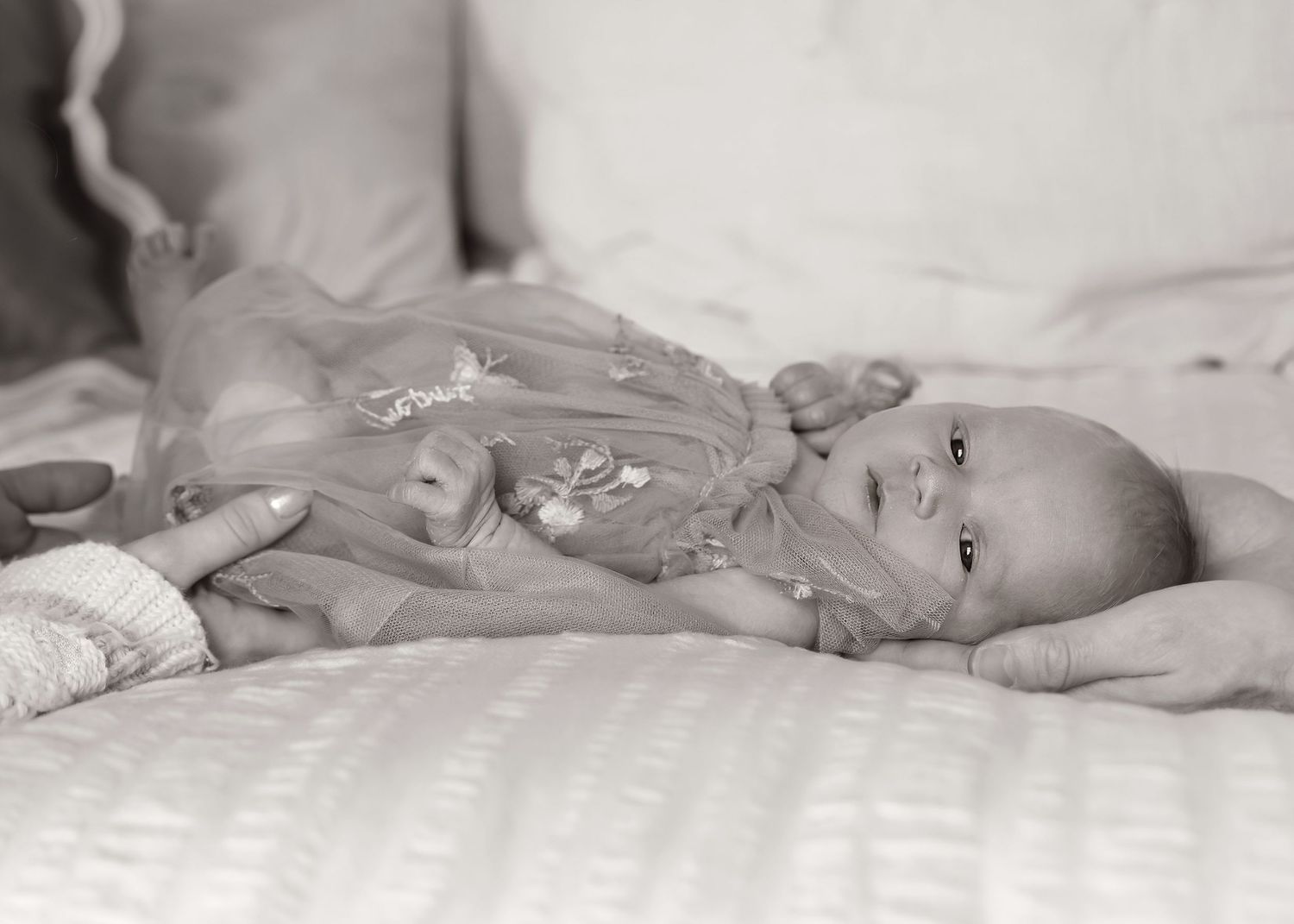Lifestyle Newborn photoshoot in Central Illinois