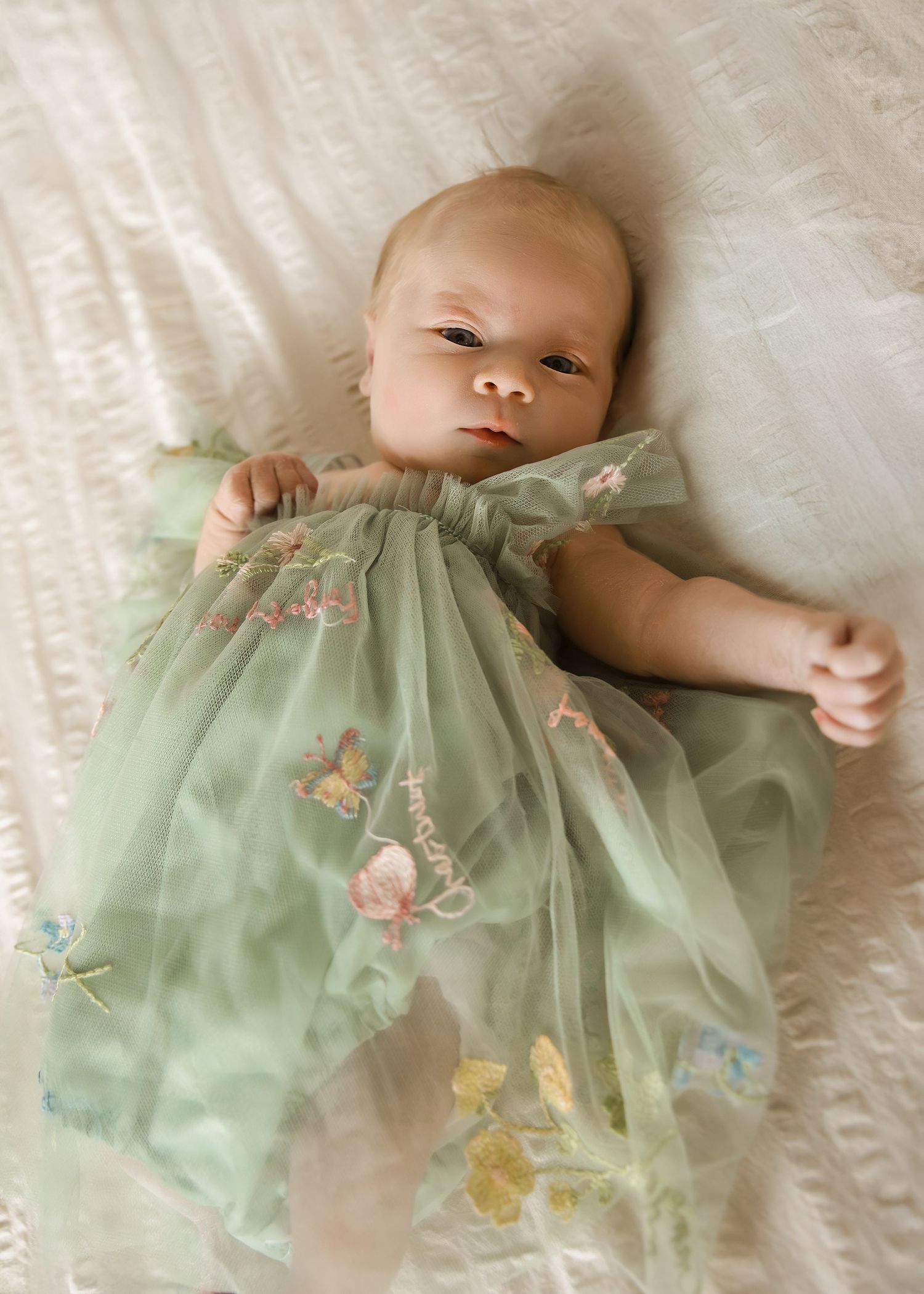 Lifestyle Newborn photoshoot in Central Illinois