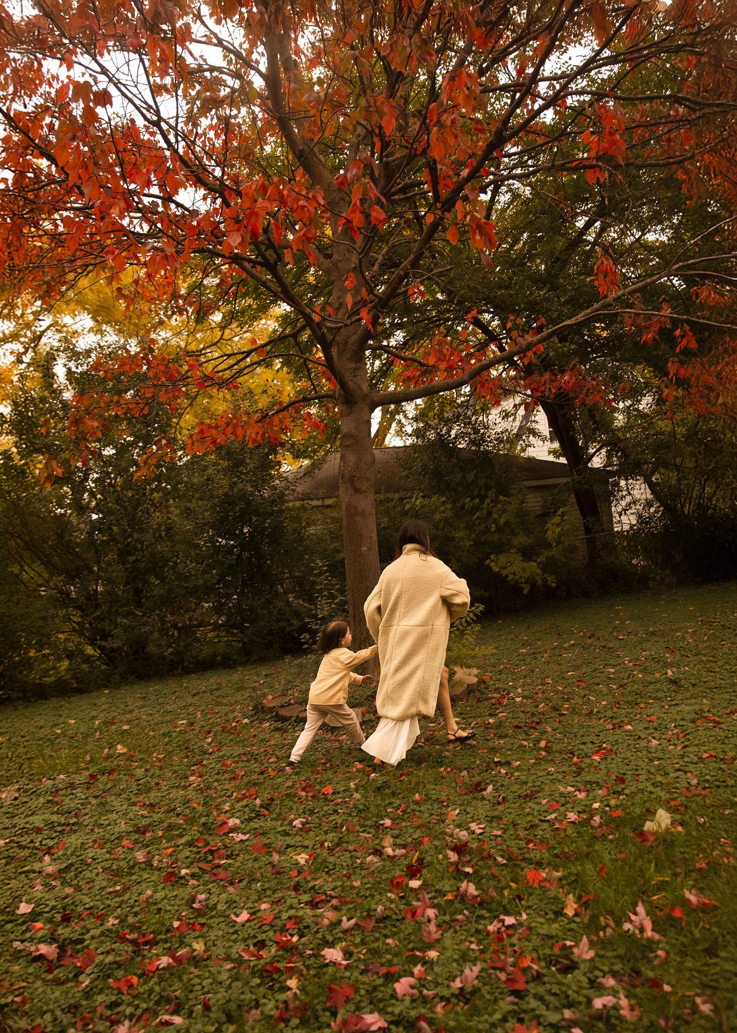 Fall family session in Chicago, IL