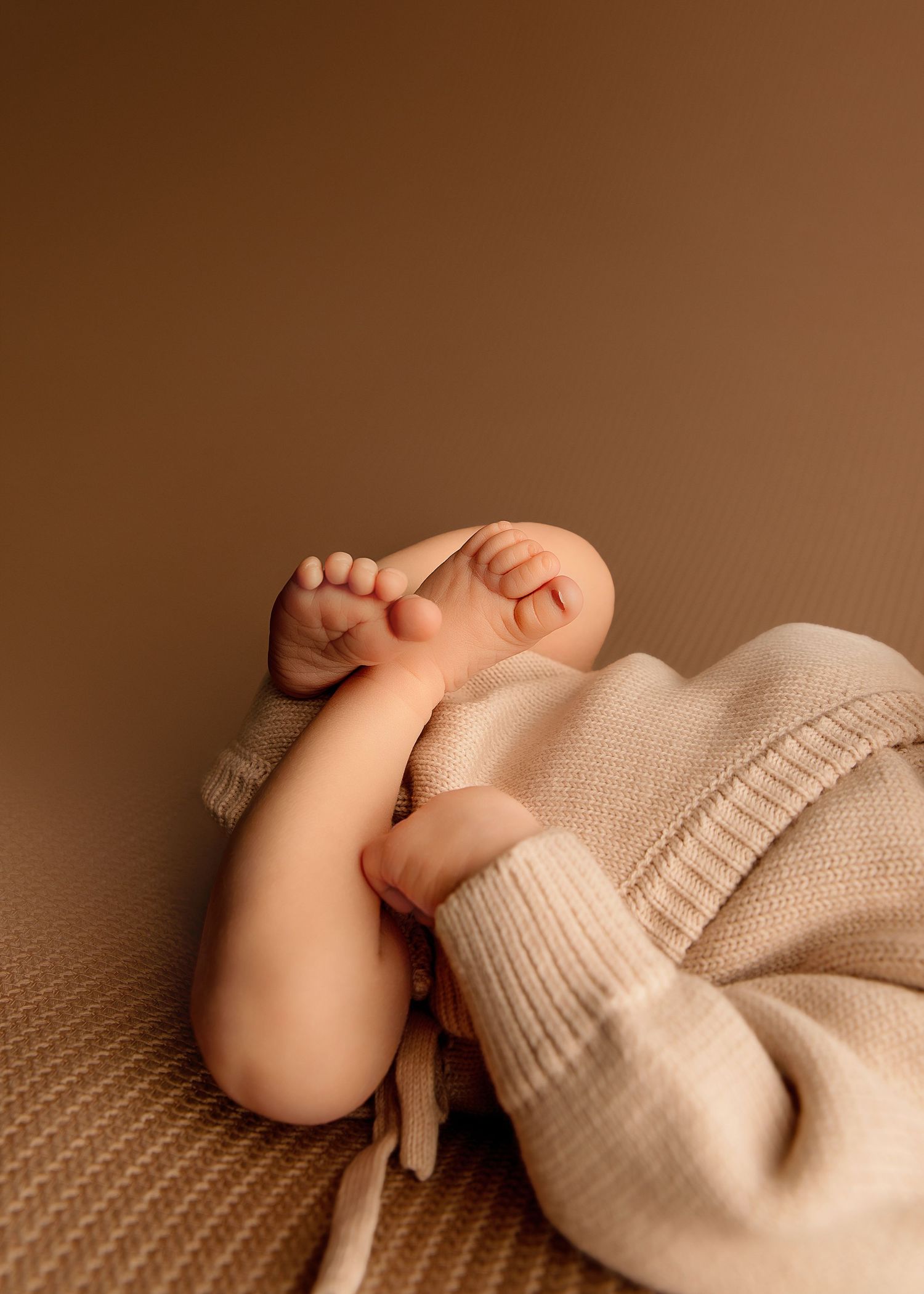 Posed Newborn Session in studio in Peoria, IL