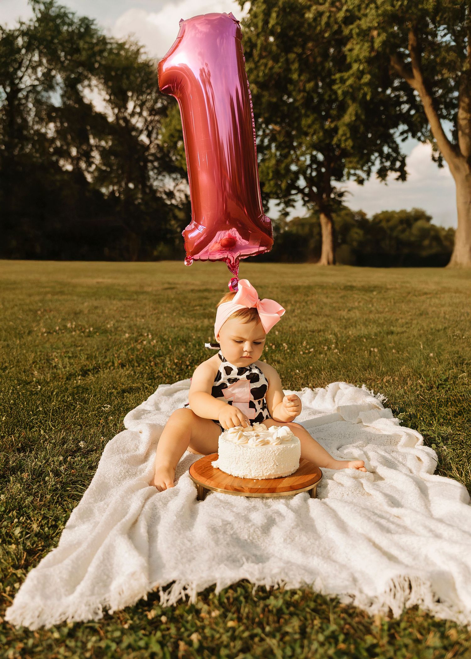 Cake Smash/First birthday portrait session in Chicago