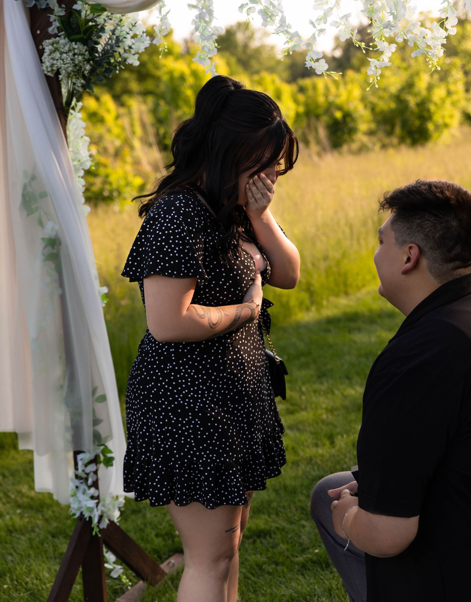 Proposal photography at Donovan Park in Peoria, IL