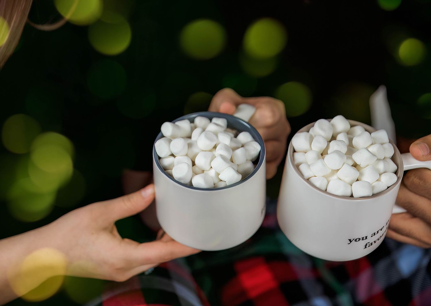 In-studio couples Christmas portrait in Peoria, IL