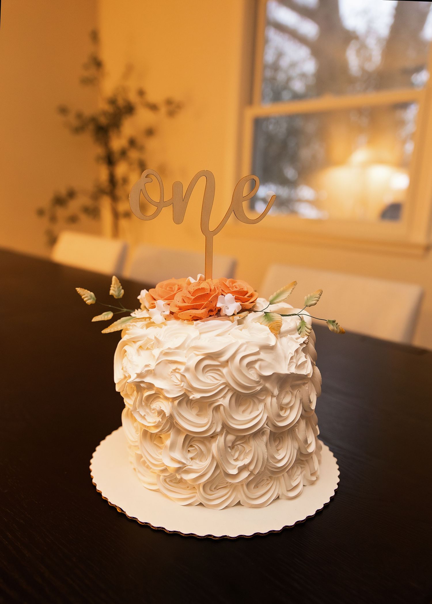 In-home cake smash session in Peoria, IL