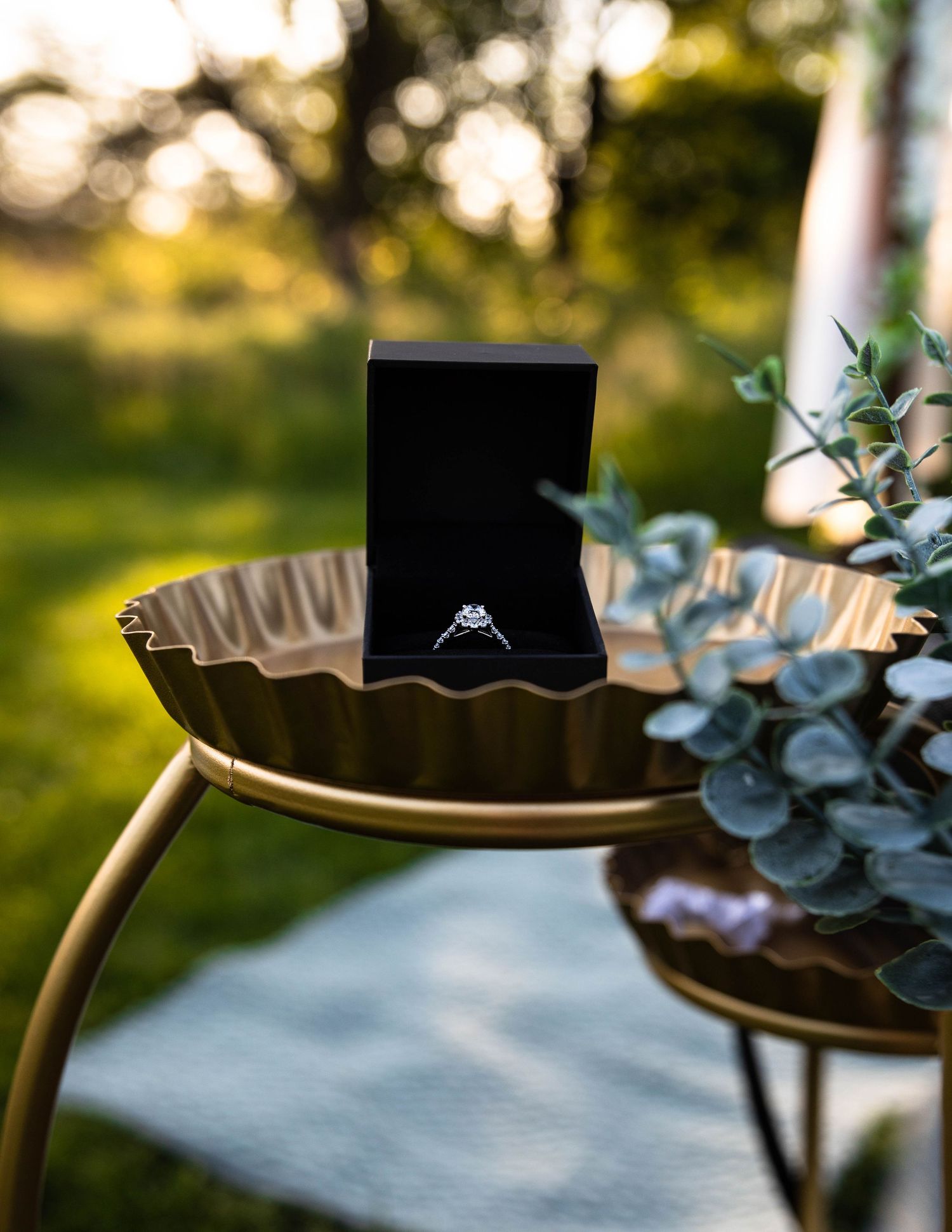Proposal photography at Donovan Park in Peoria, IL