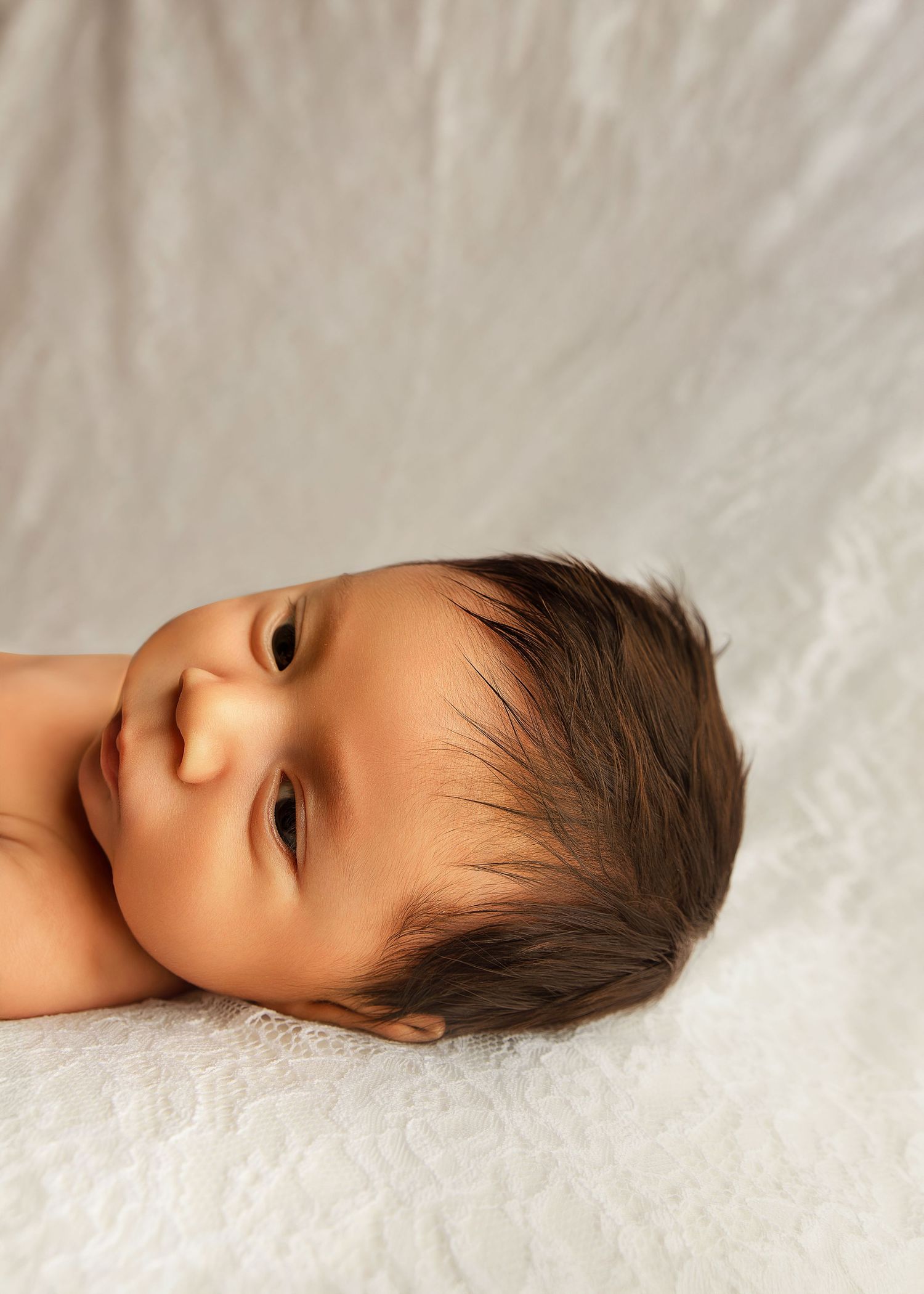 Posed Newborn Session in studio in Peoria, IL