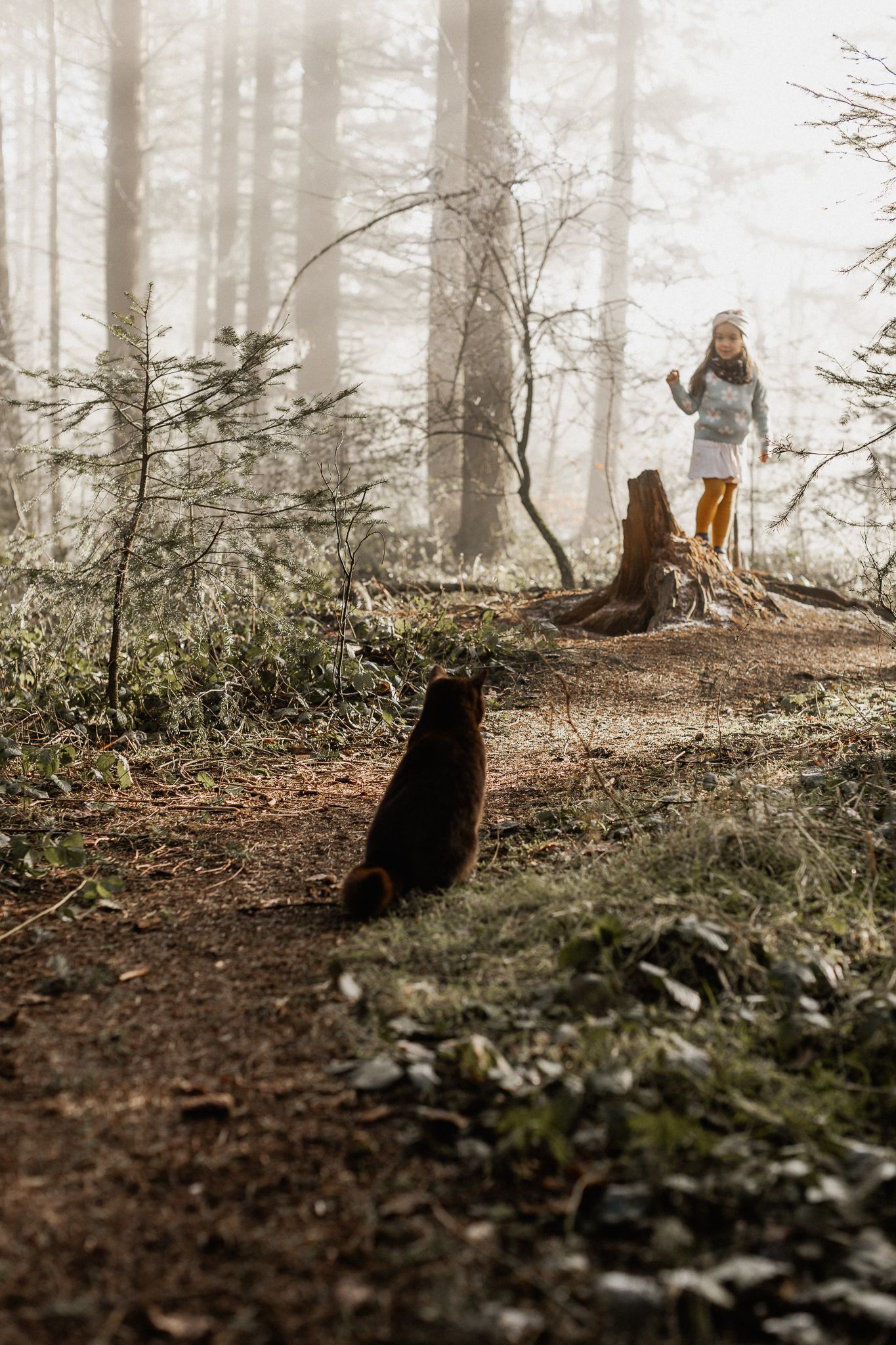 Eine Aufnahme von einem Mädchen und ihrer Katze im winterlichen Wald in Pellingen.