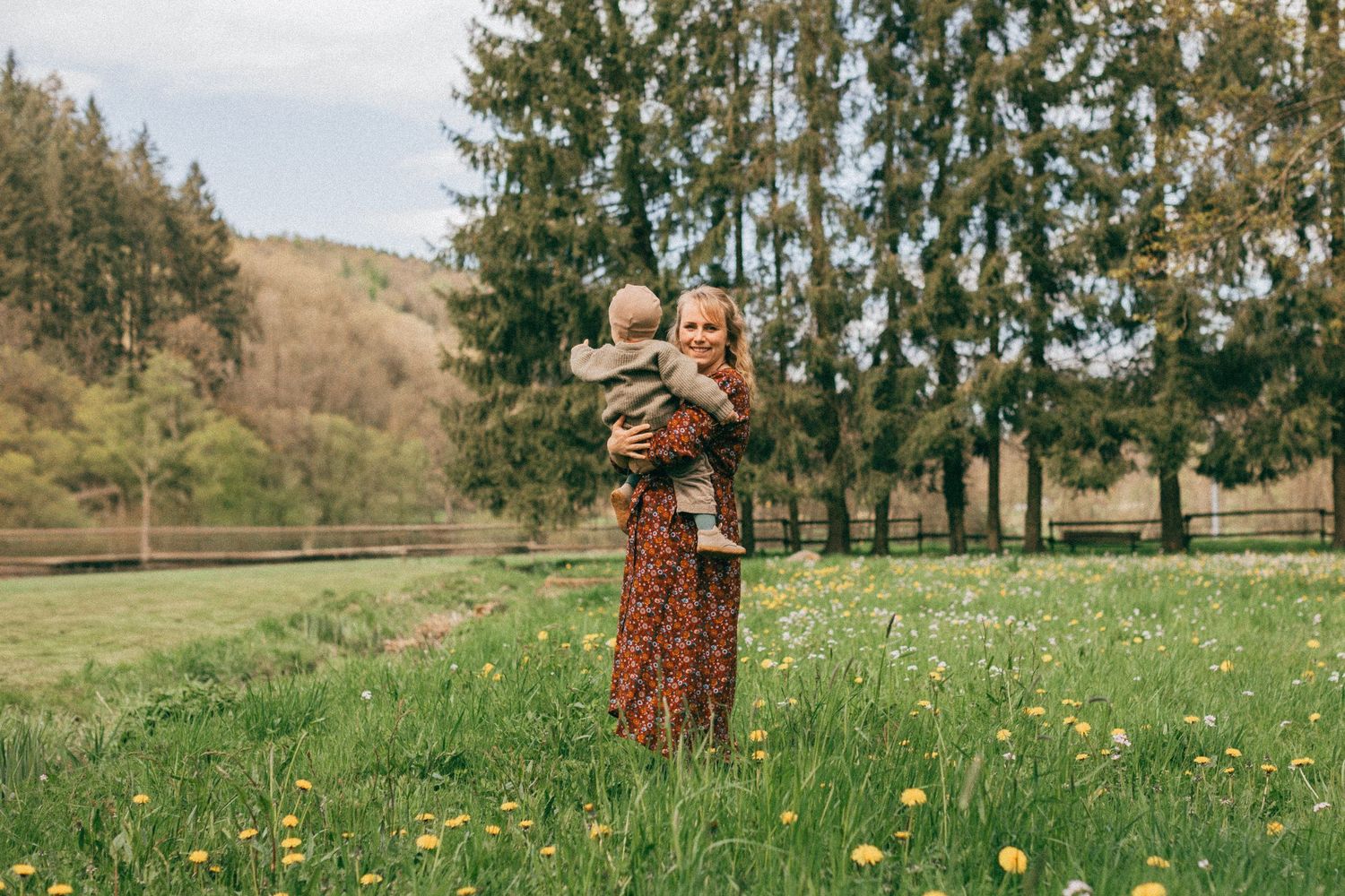 A springtime scene in a meadow filled with dandelions and evergreen trees.