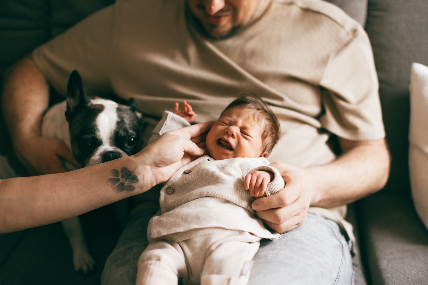 Ein Familienshooting mit Haustier und Baby in Konz.