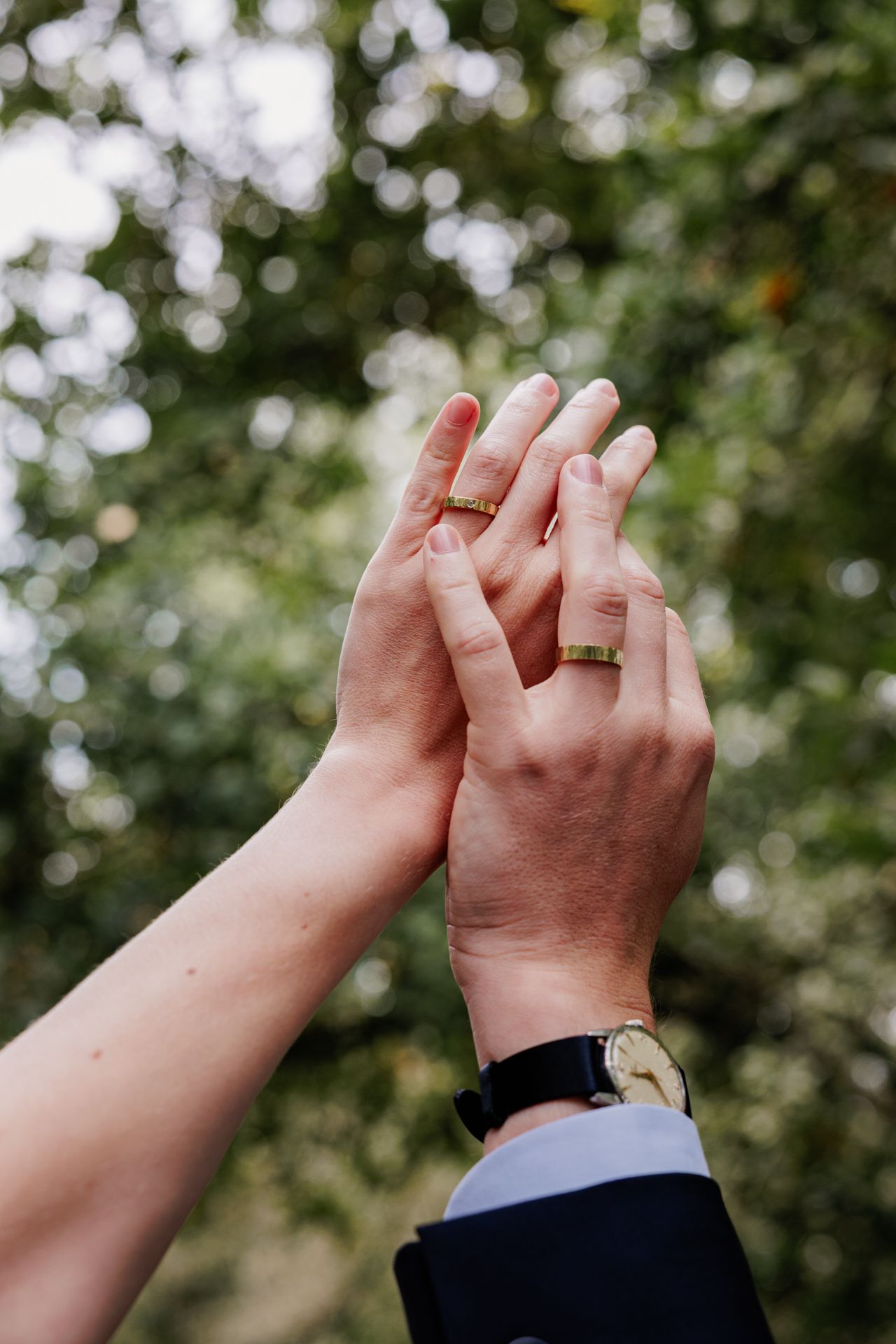 Two hands reaching towards each other in a natural outdoor setting.