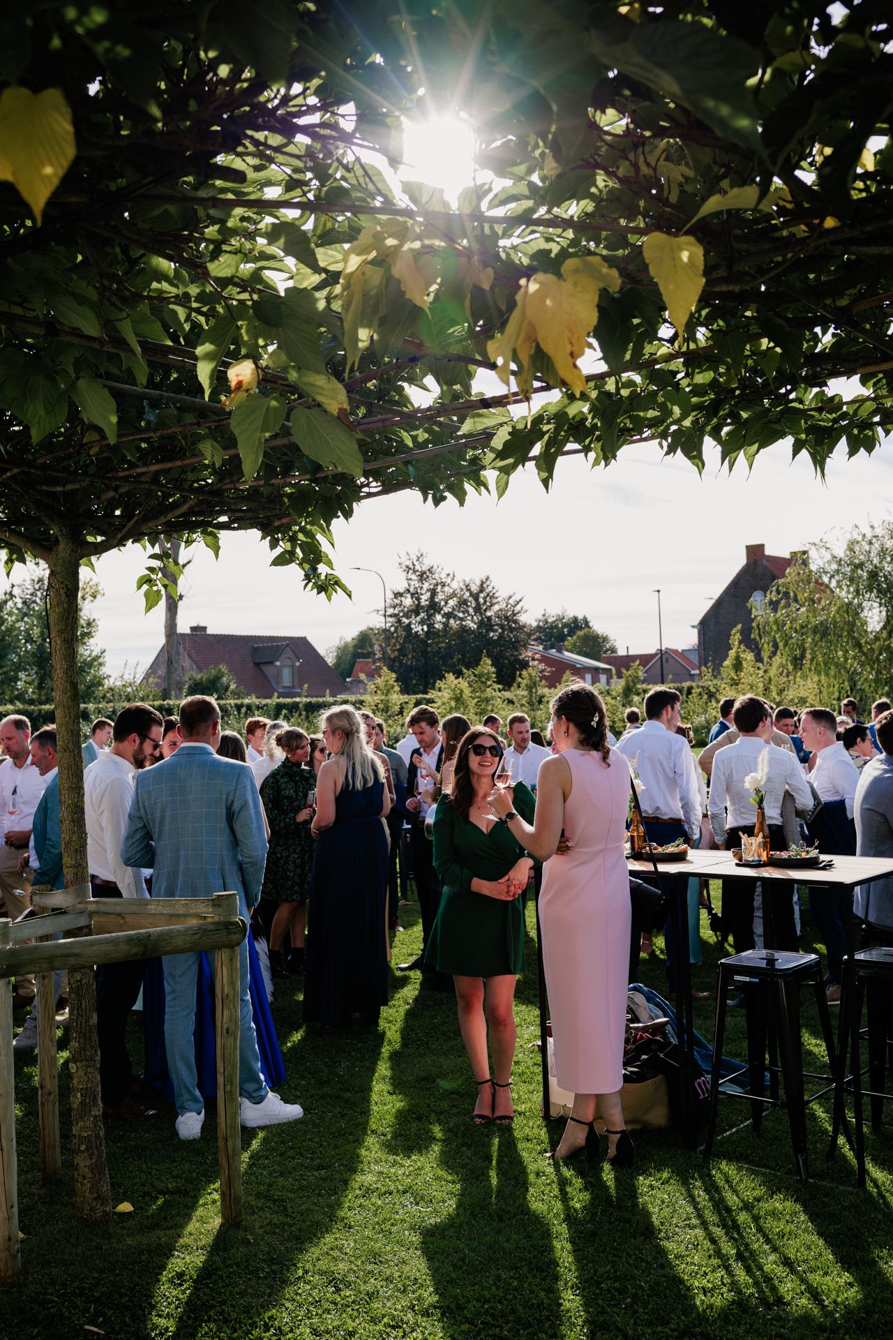 Receptie van een huwelijk in een zonnige tuin onder een groen afdakje.