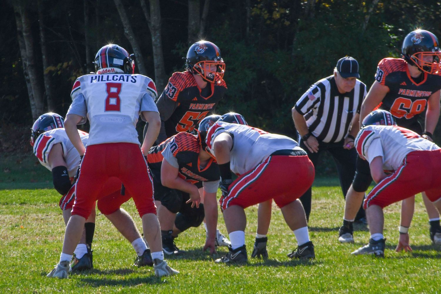 Football teams lined up at scrimmage with referee watching during outdoor game.