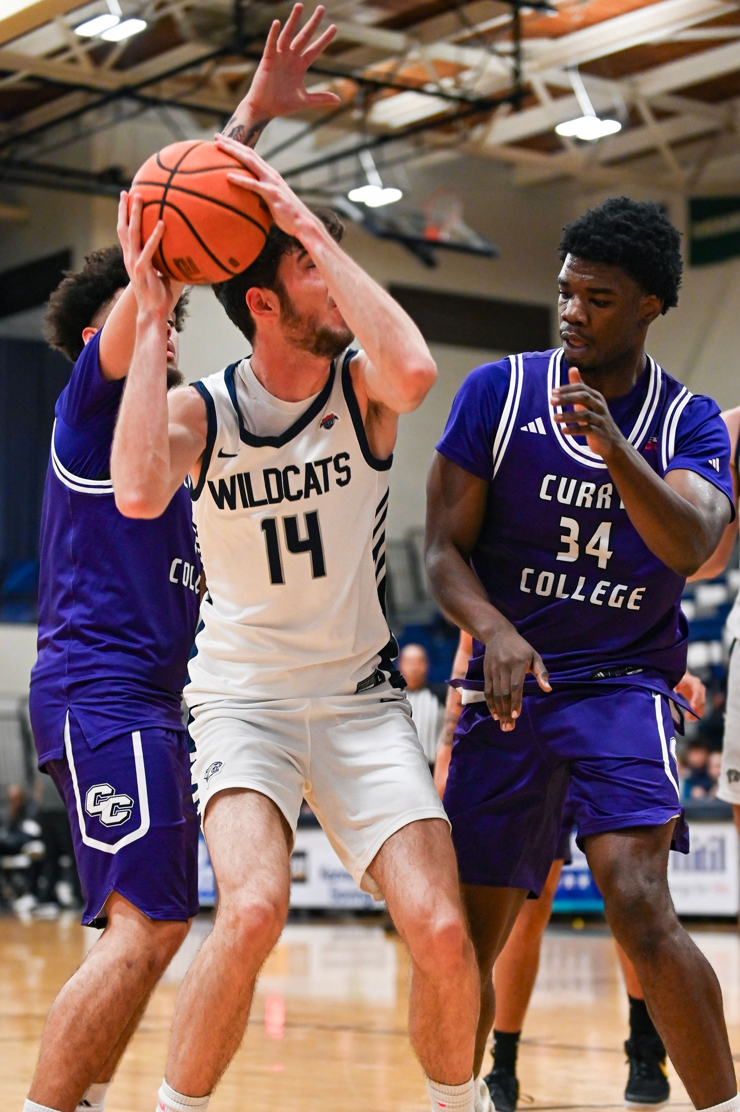 Basketball players from Wildcats and Curry College compete for possession during an intense game on the court.