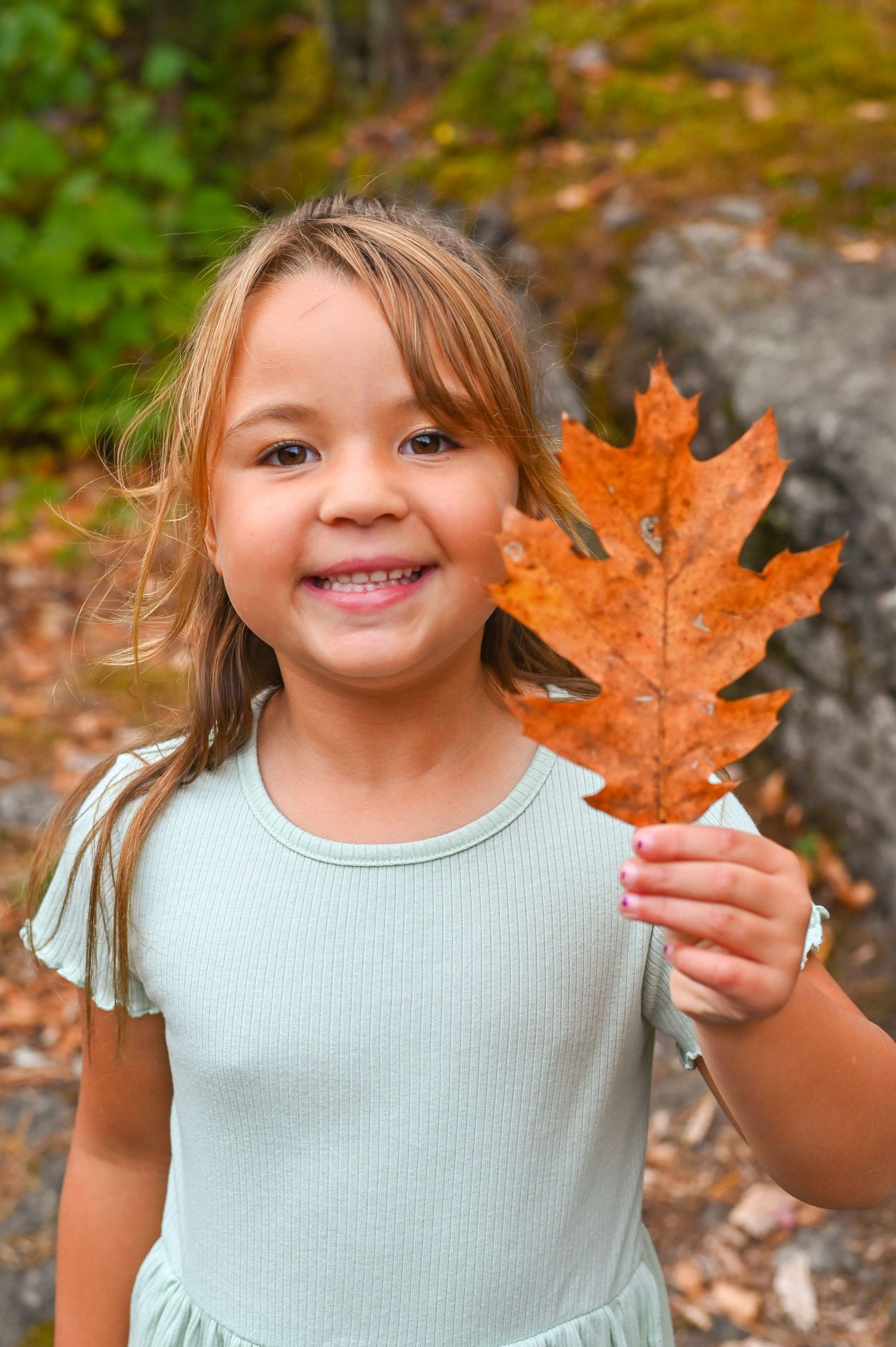 A sequence of fall photos showing a child in a light blue shirt holding and playing with a large orange maple leaf.