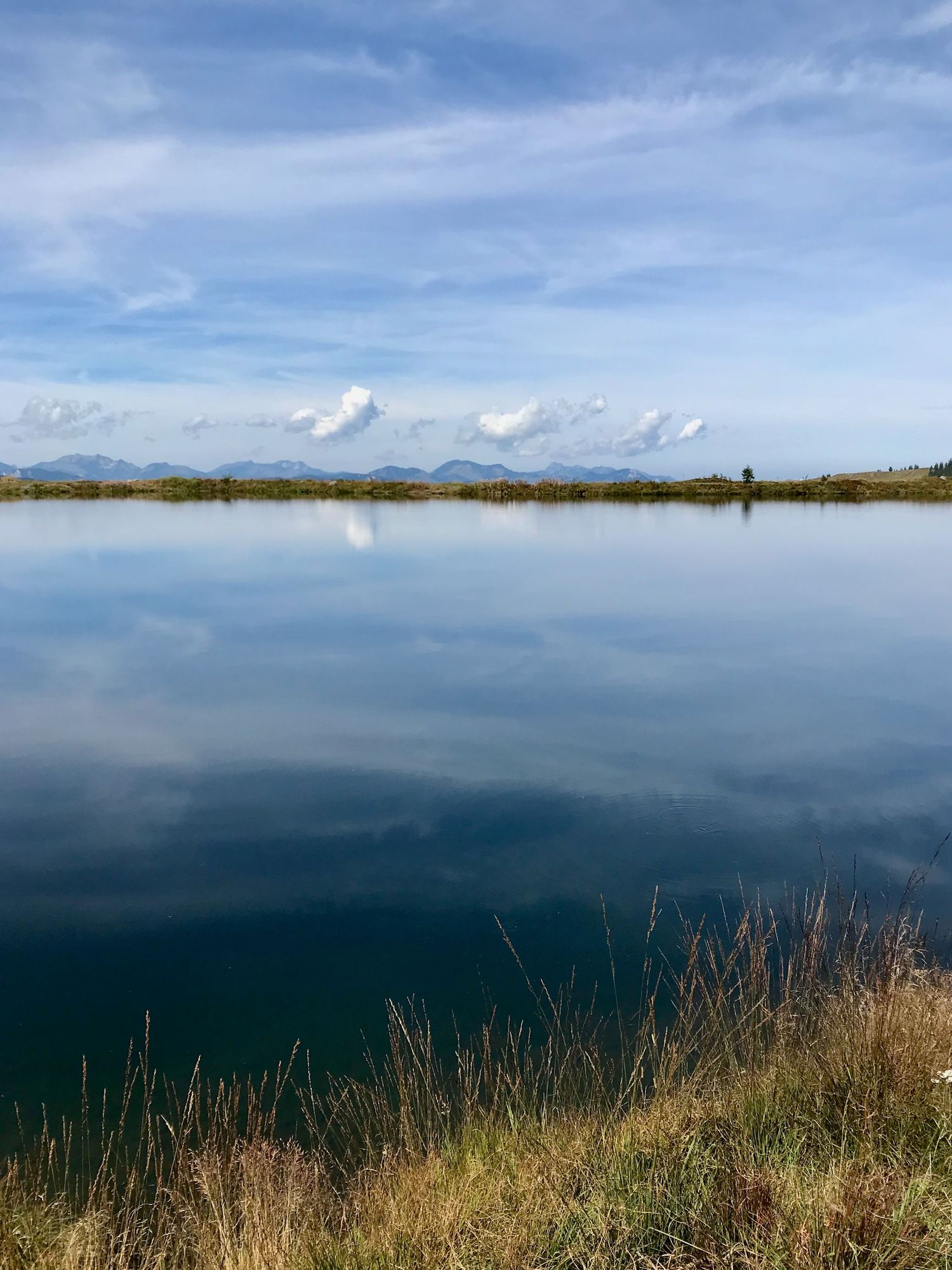 Hintergrundbild (See mit Spiegelungen im Wasser) für Website von Annika Schwab - Systemische Beratung, Mediation und Supervision, Frankfurt.