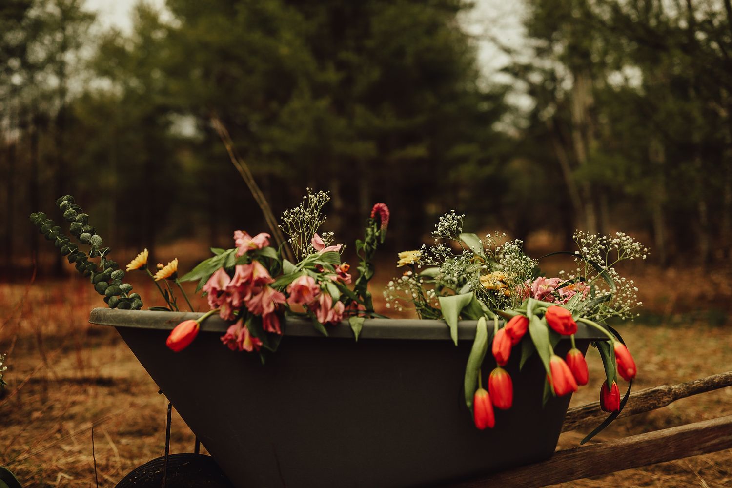 A black metal container filled with red tulips and wildflowers sits in an outdoor garden setting.