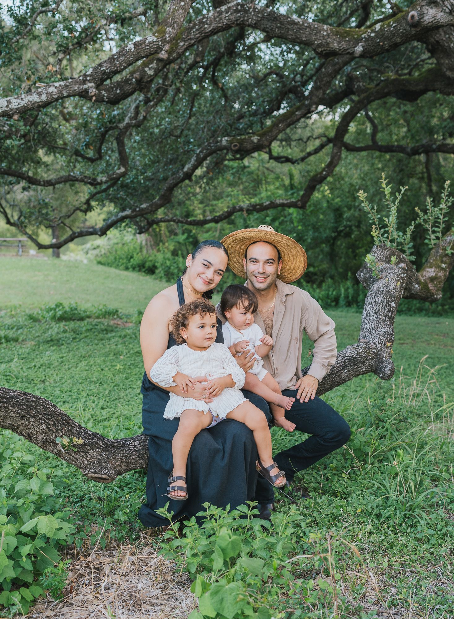 Parents holding their two young children while seated on a low oak branch.