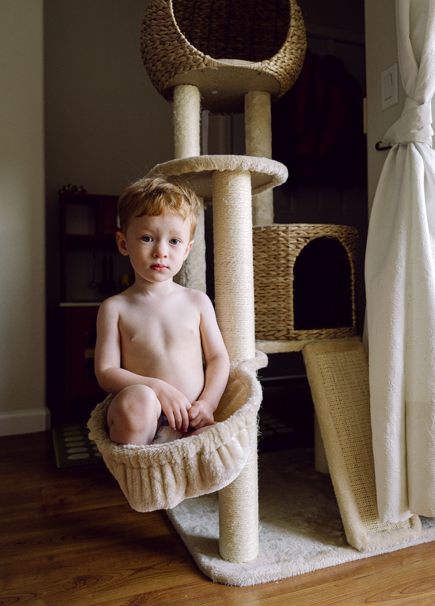 Young child sitting in a cat-tree basket beside a window and looking at the camera.