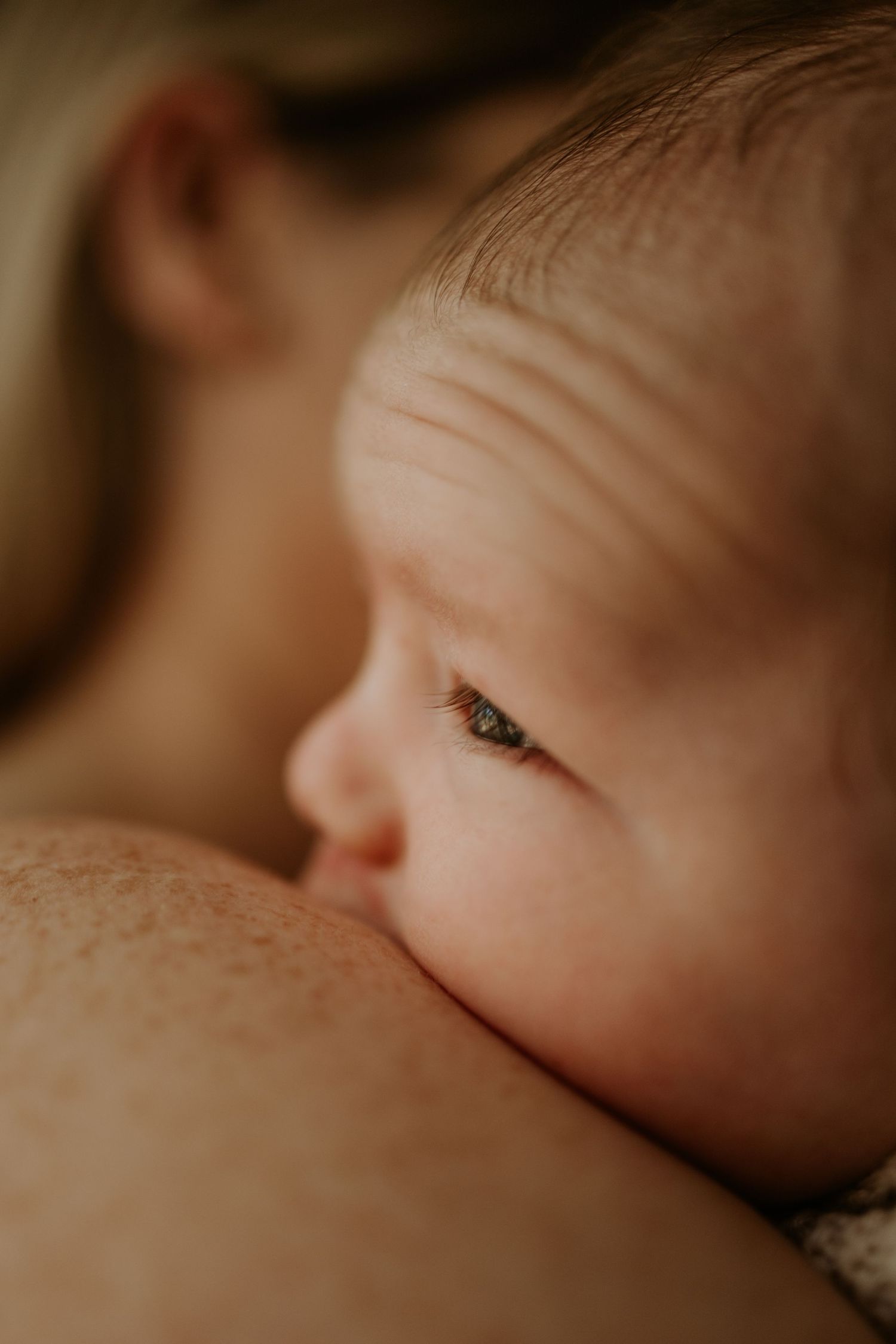Newborn photography Adelaide - Newborn baby portrait on mothers shoulder