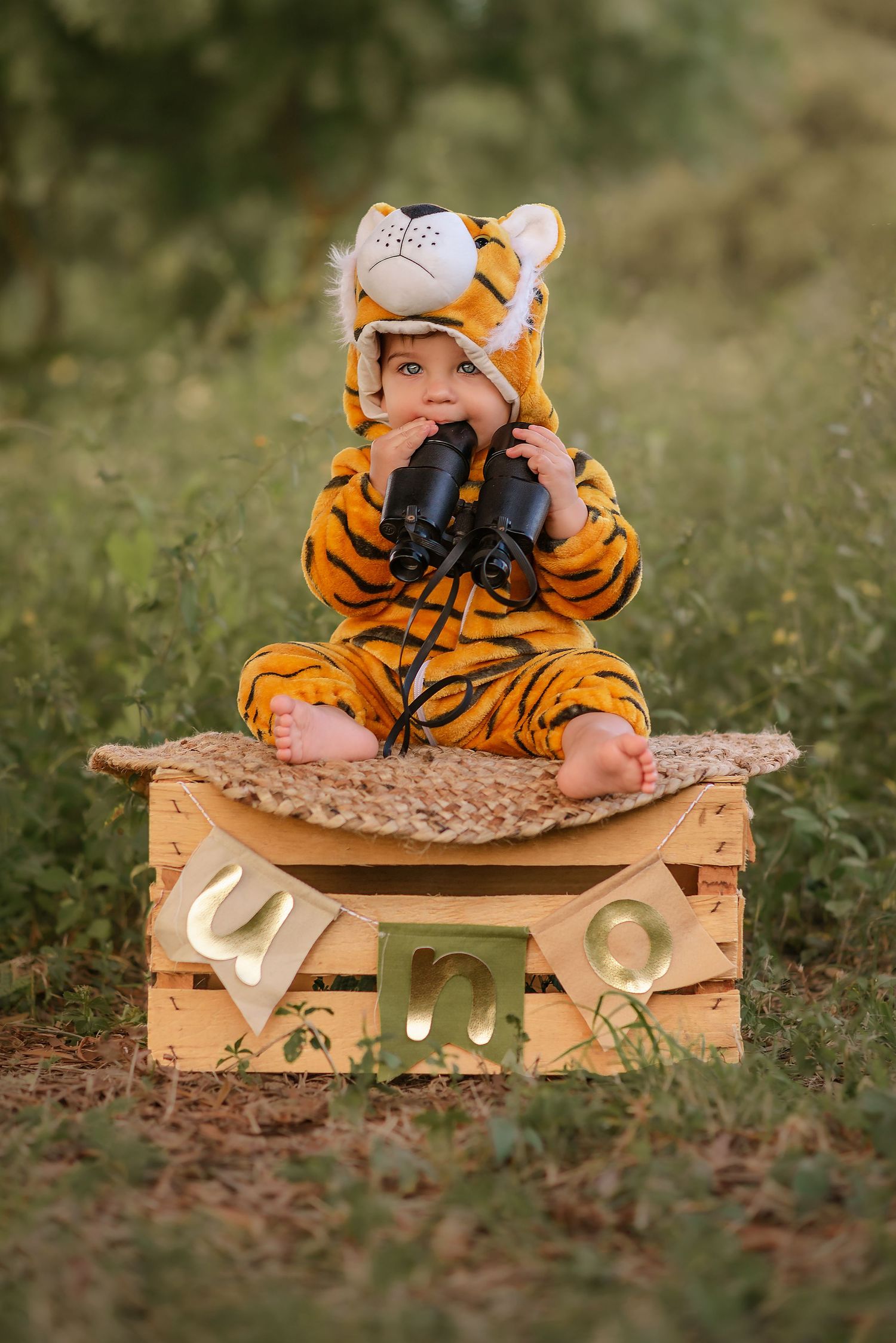 A small child in a tiger costume sits on a wooden box holding binoculars in an outdoor setting.
