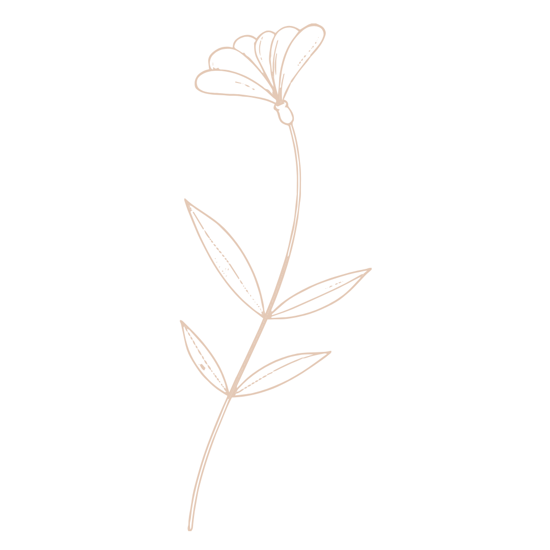 Delicate peach floral line drawings create an elegant pattern.