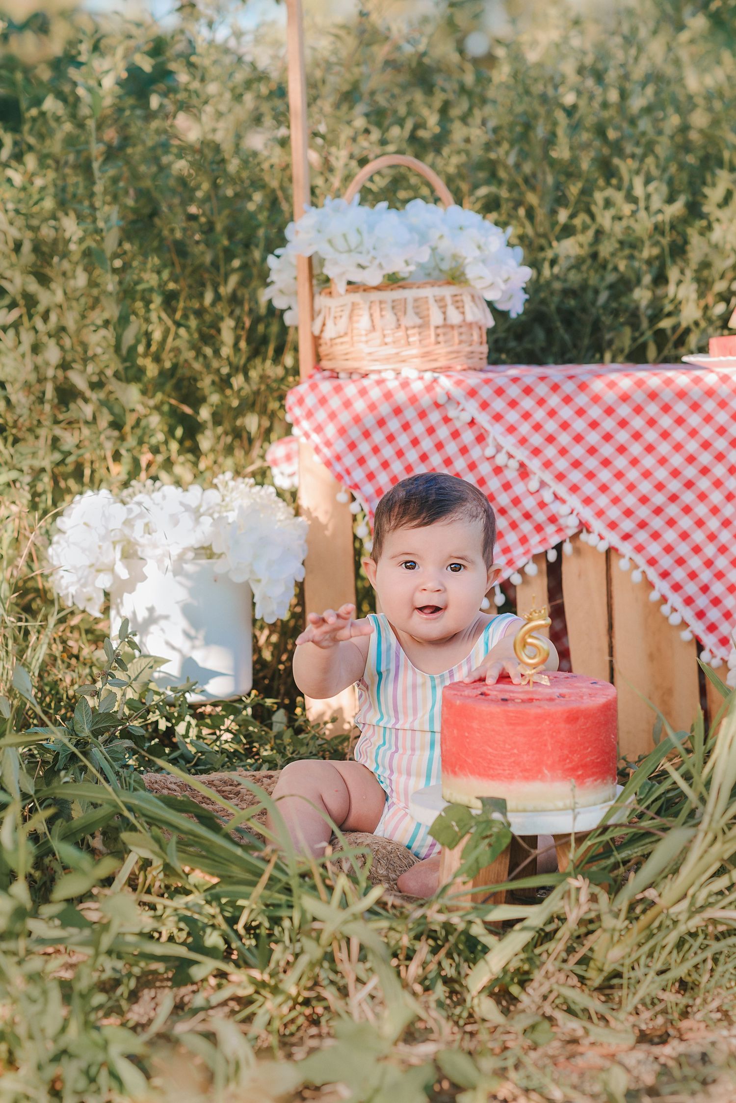 A picnic setup in tall grass with a red and white checkered tablecloth and wooden crate display.