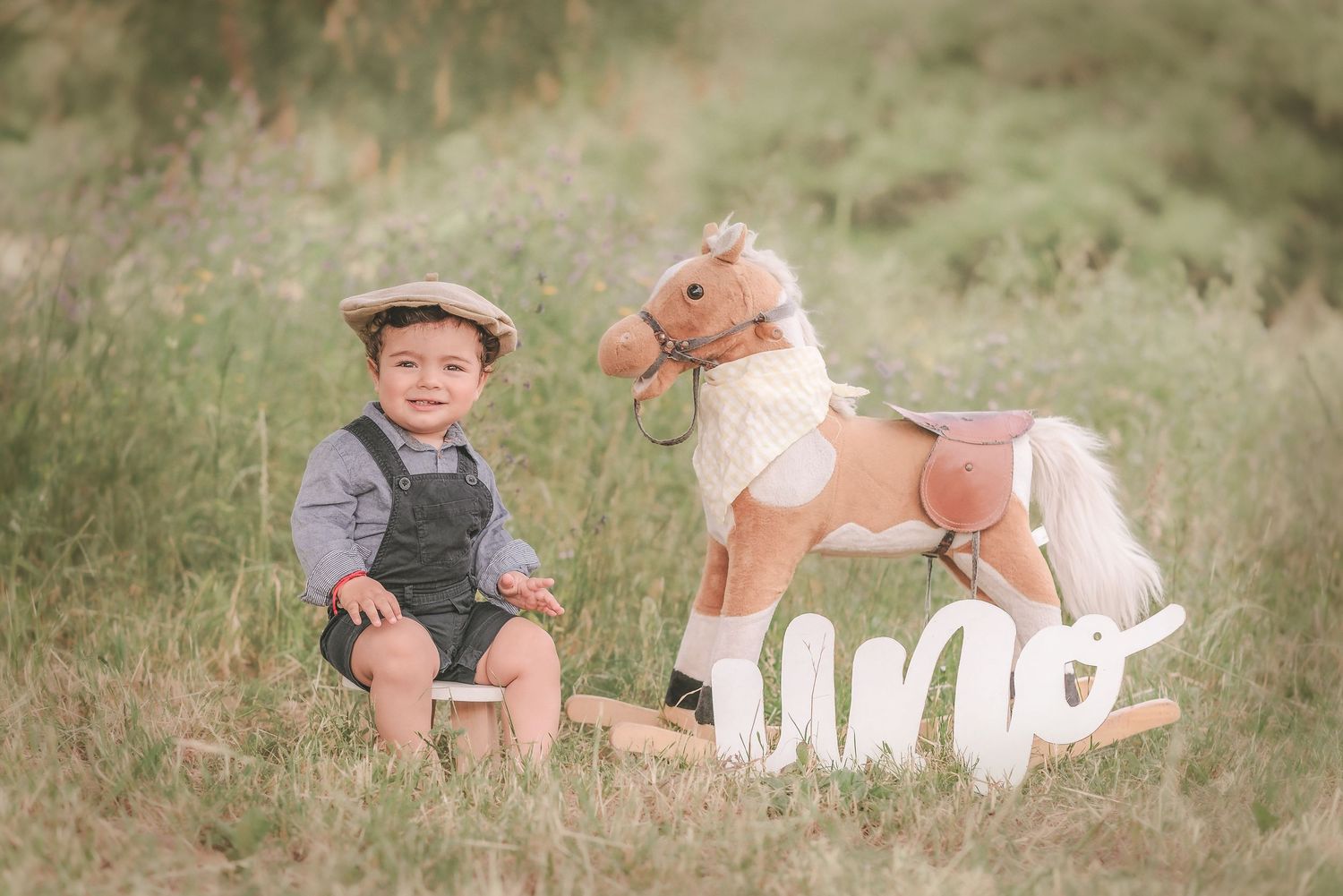 A child in vintage-style clothing sits in a grassy field next to a plush rocking horse toy.