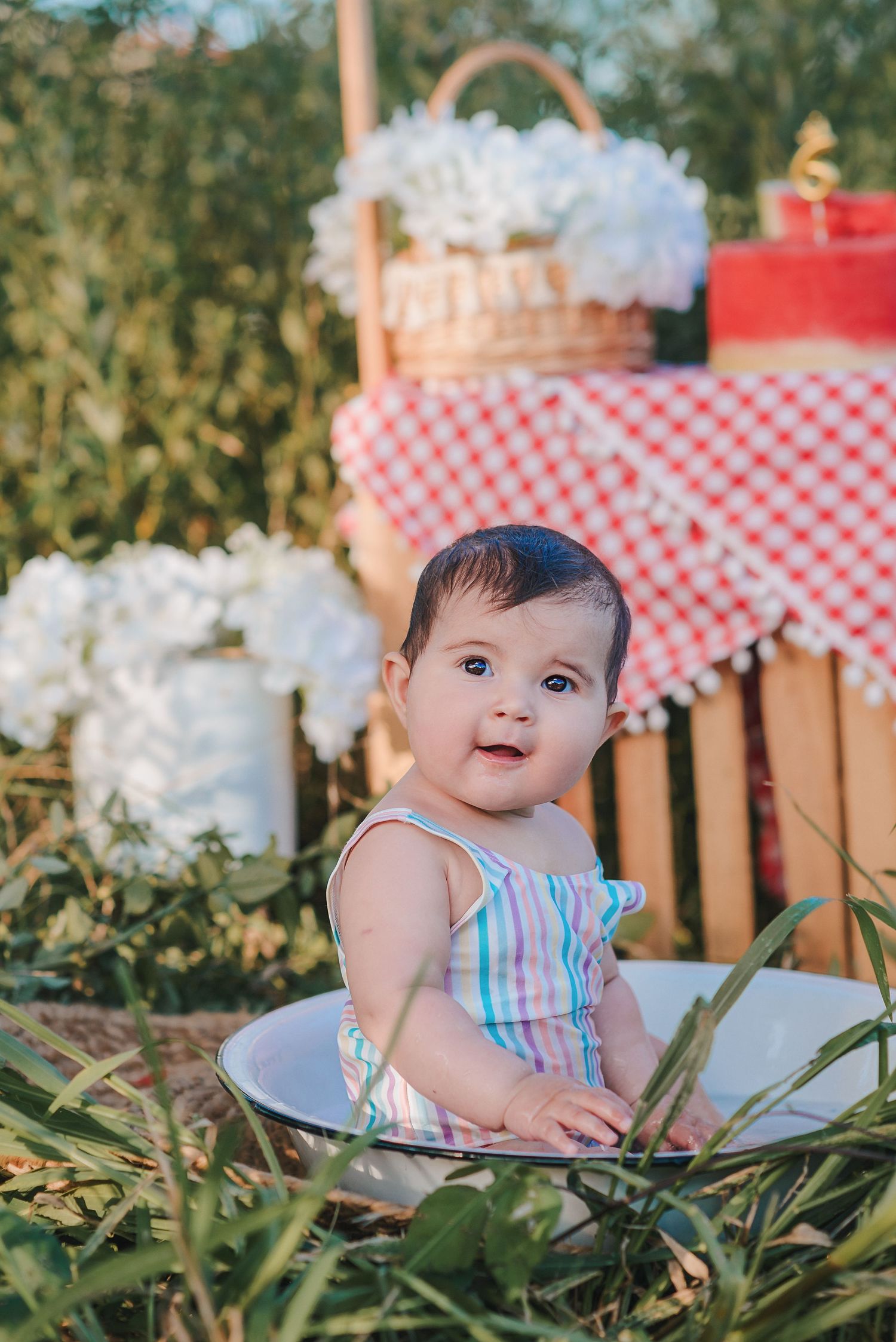 Baby sitting in grass with red and white checkered picnic decor and white flowers in the background.