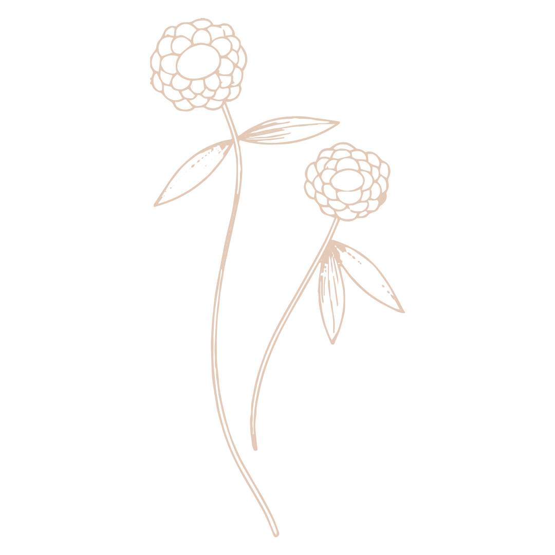 Delicate line drawing of two flowers with curved stems in soft peach color.