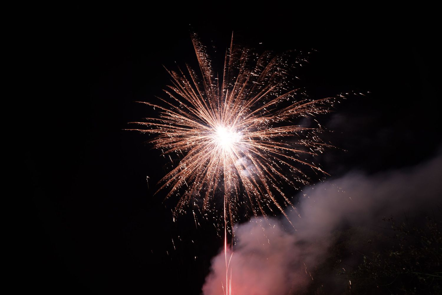 Pink and white fireworks illuminate the dark night sky during a celebratory display.