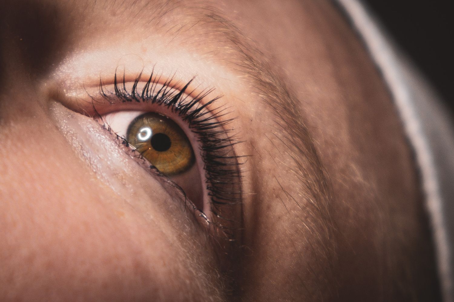 A macro photograph of an eye ball after undergoing a lash lift & tint shot in chesterfield by 21 Photography