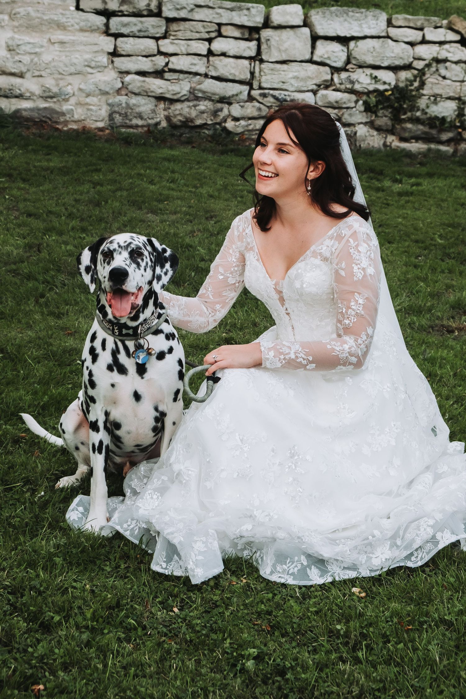 Bride sitting on grass with Dalmatian dog at Tyson and Rebecca’s vow renewal, Derbyshire.