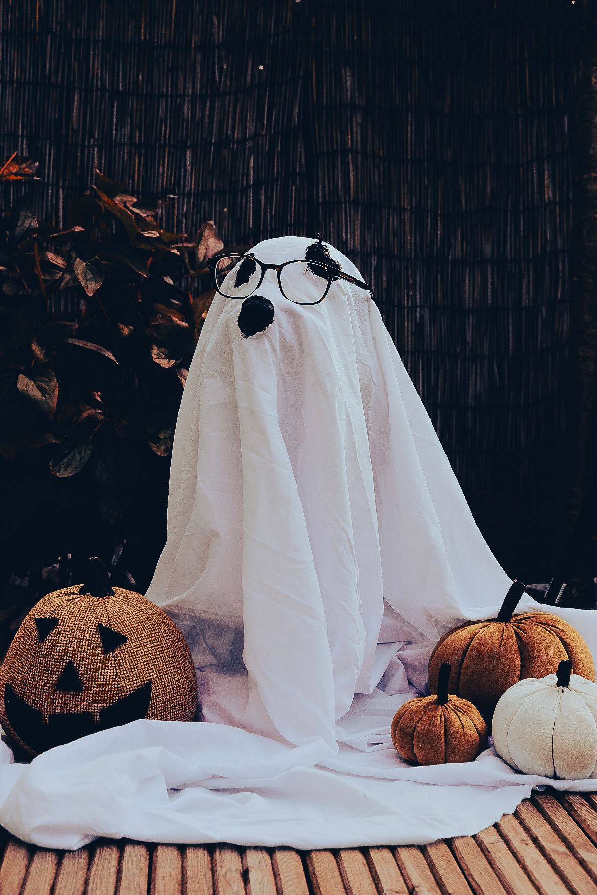 A series of ghost decorations made from white sheets with pumpkins and dark backgrounds create a spooky Halloween scene.