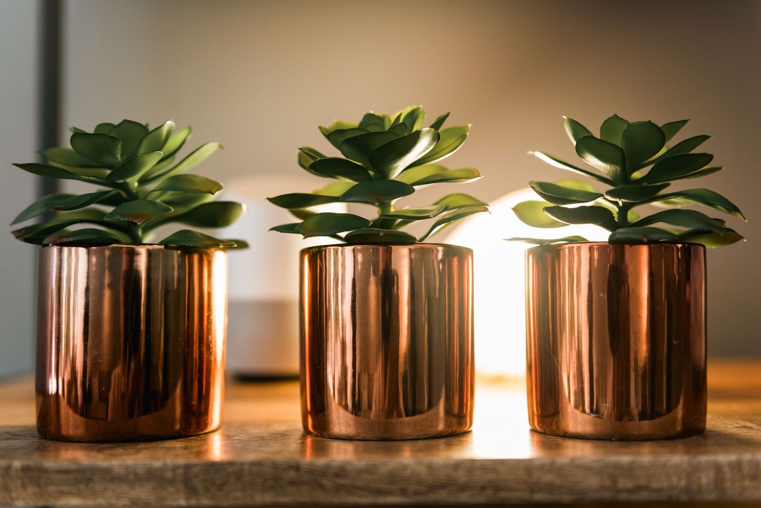 Three copper metallic planters with succulent plants arranged on a wooden surface.
