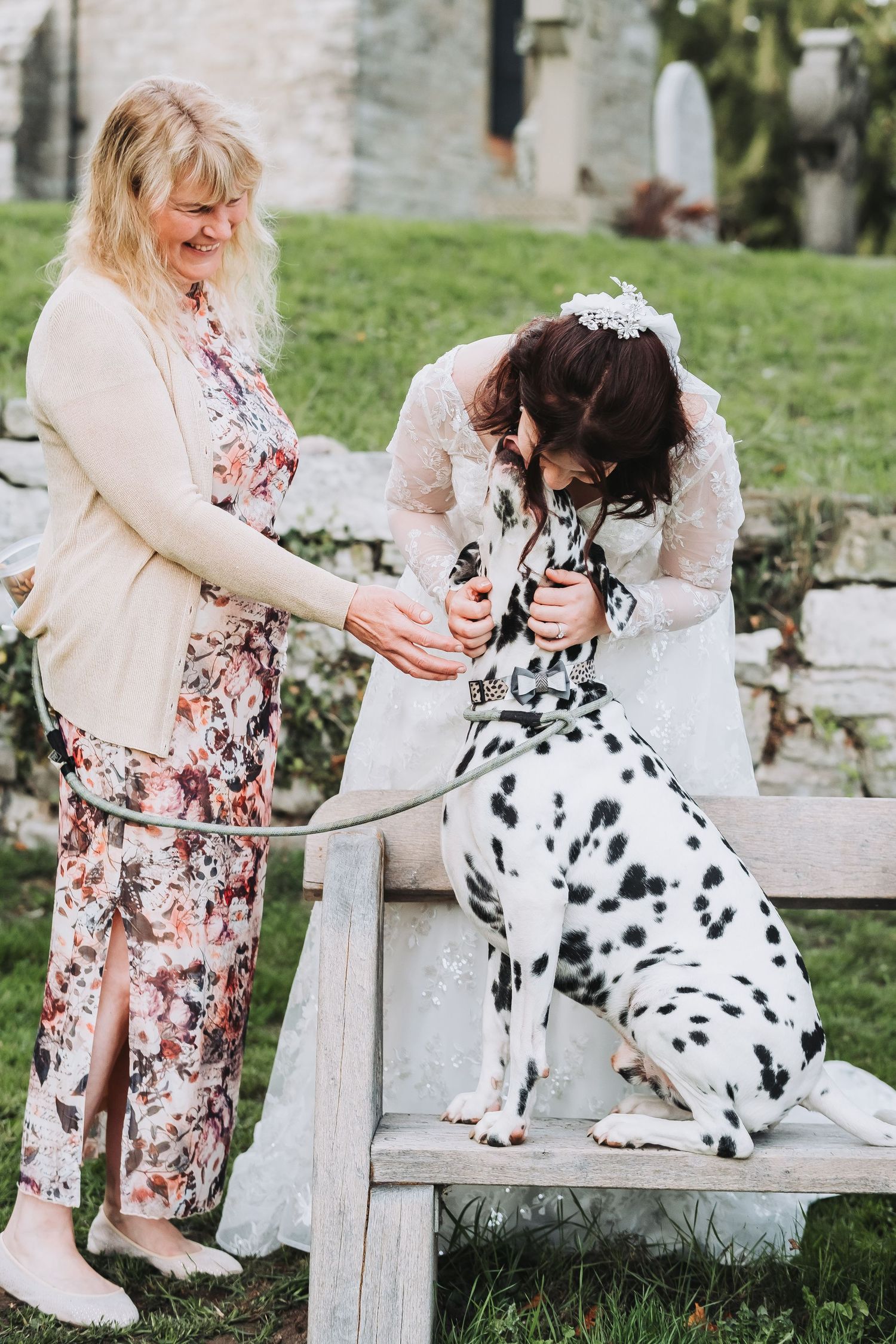 Dalmatian dog interacting with wedding party on rustic wooden bench.