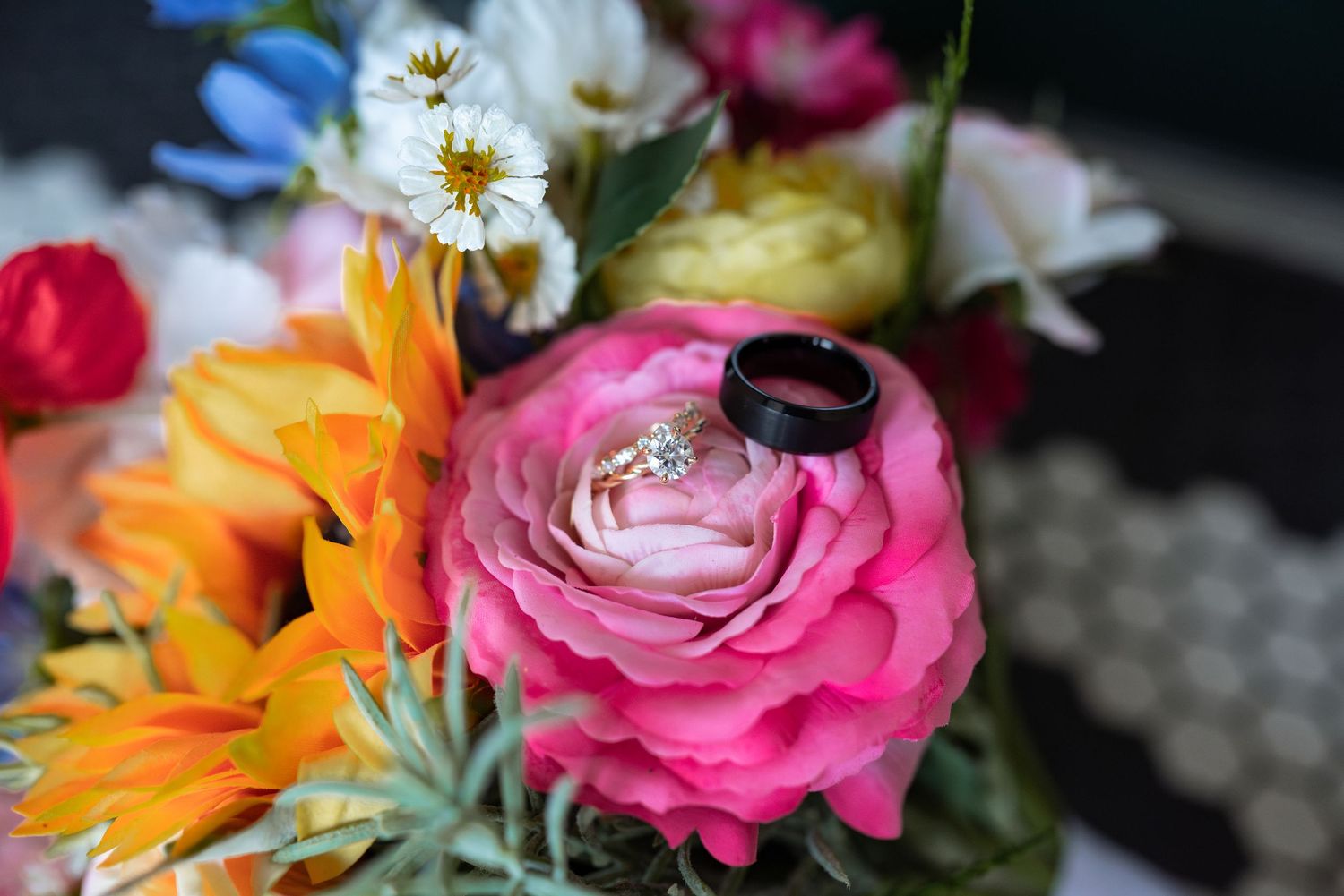 Appleton, Wisconsin Wedding and Portrait Photographer