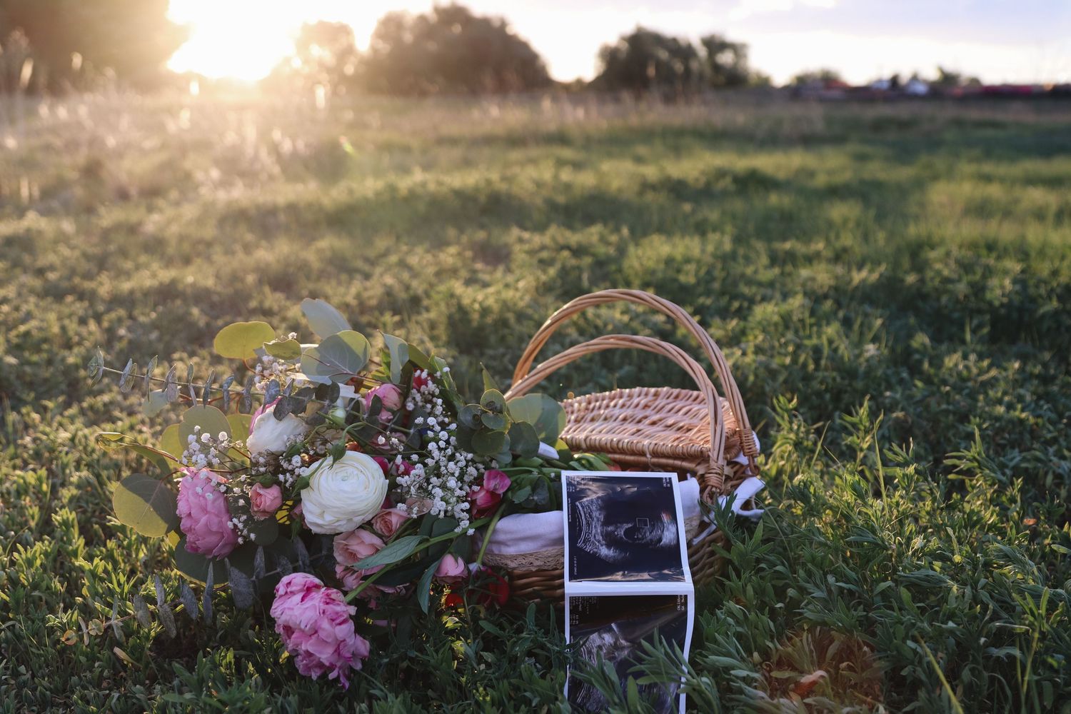Wicker basket with flowers and ultrasound photos in a sunlit green field at golden hour.