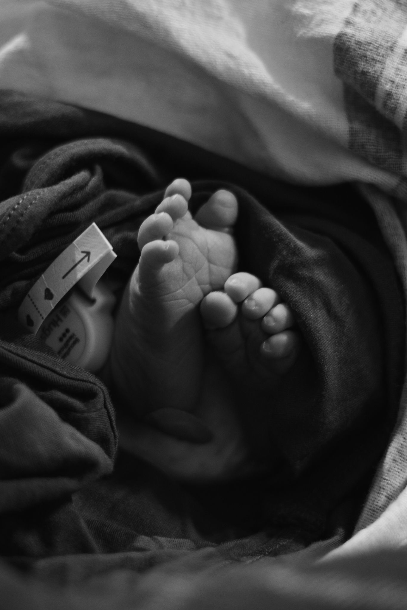 Black and white close-up of tiny baby feet wrapped in soft fabric.