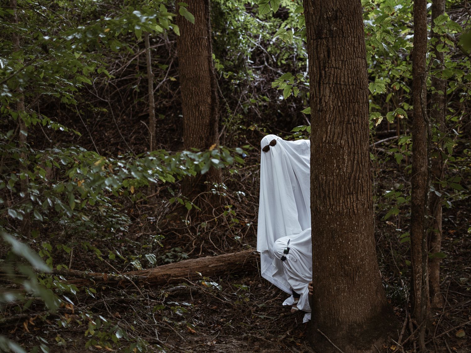 White ghost decorations hang between trees in a spooky outdoor Halloween display.