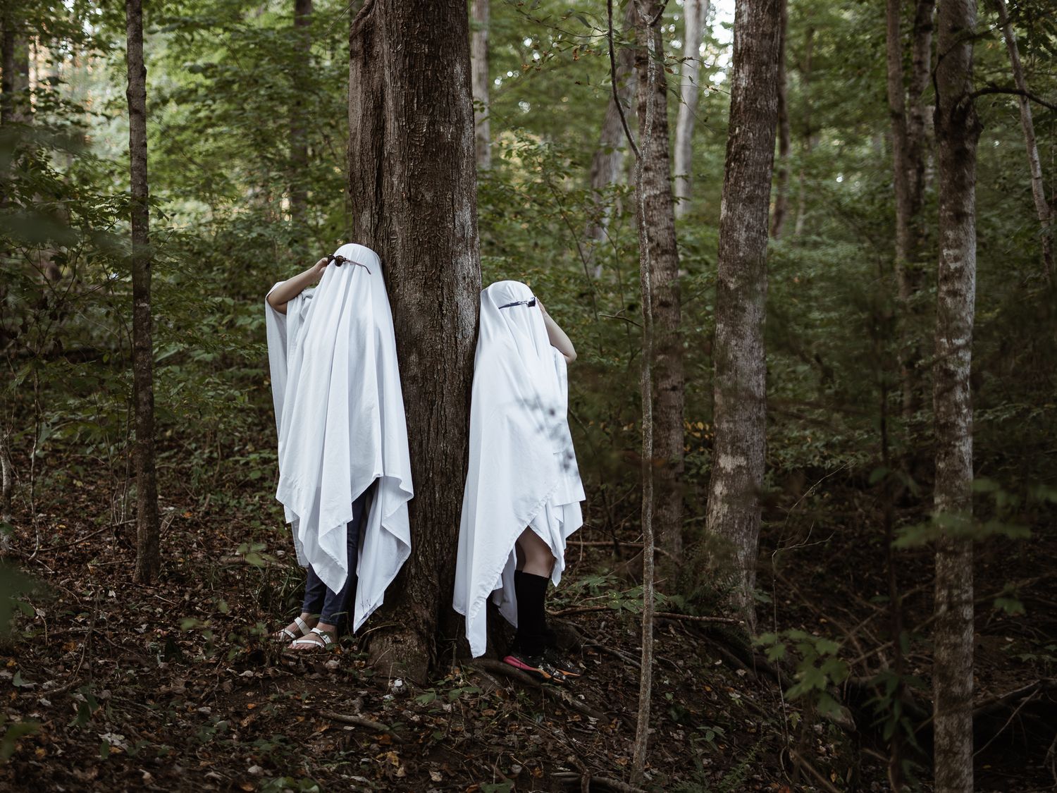 White fabric hanging between trees creates an ethereal scene in a forest setting.