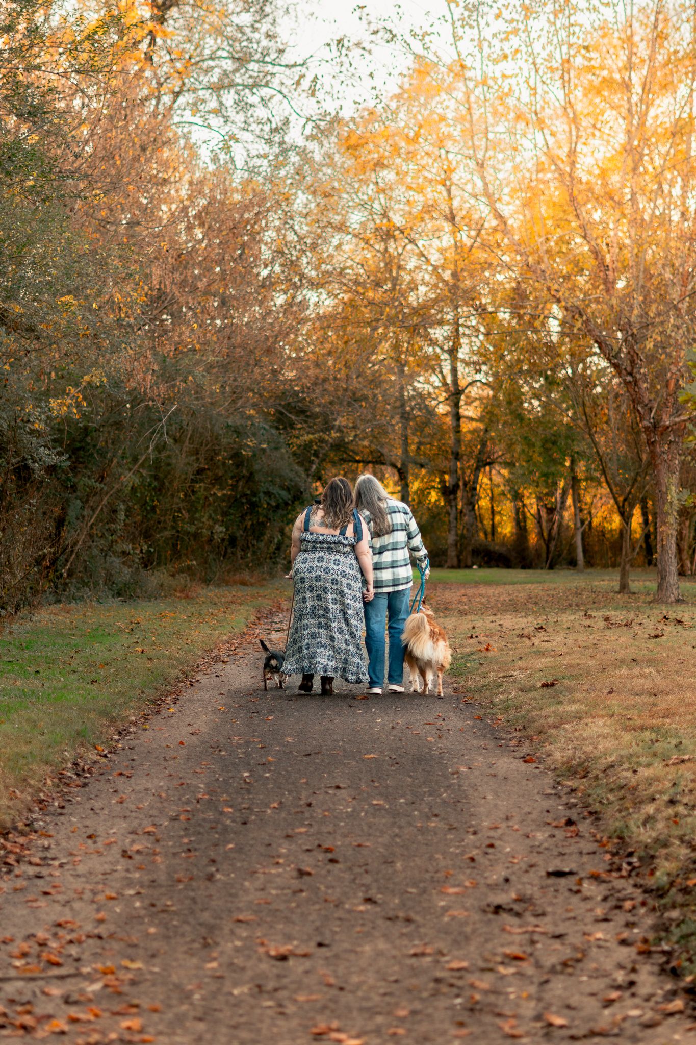 A couple walking their dog on an autumn path surrounded by golden trees at sunset.