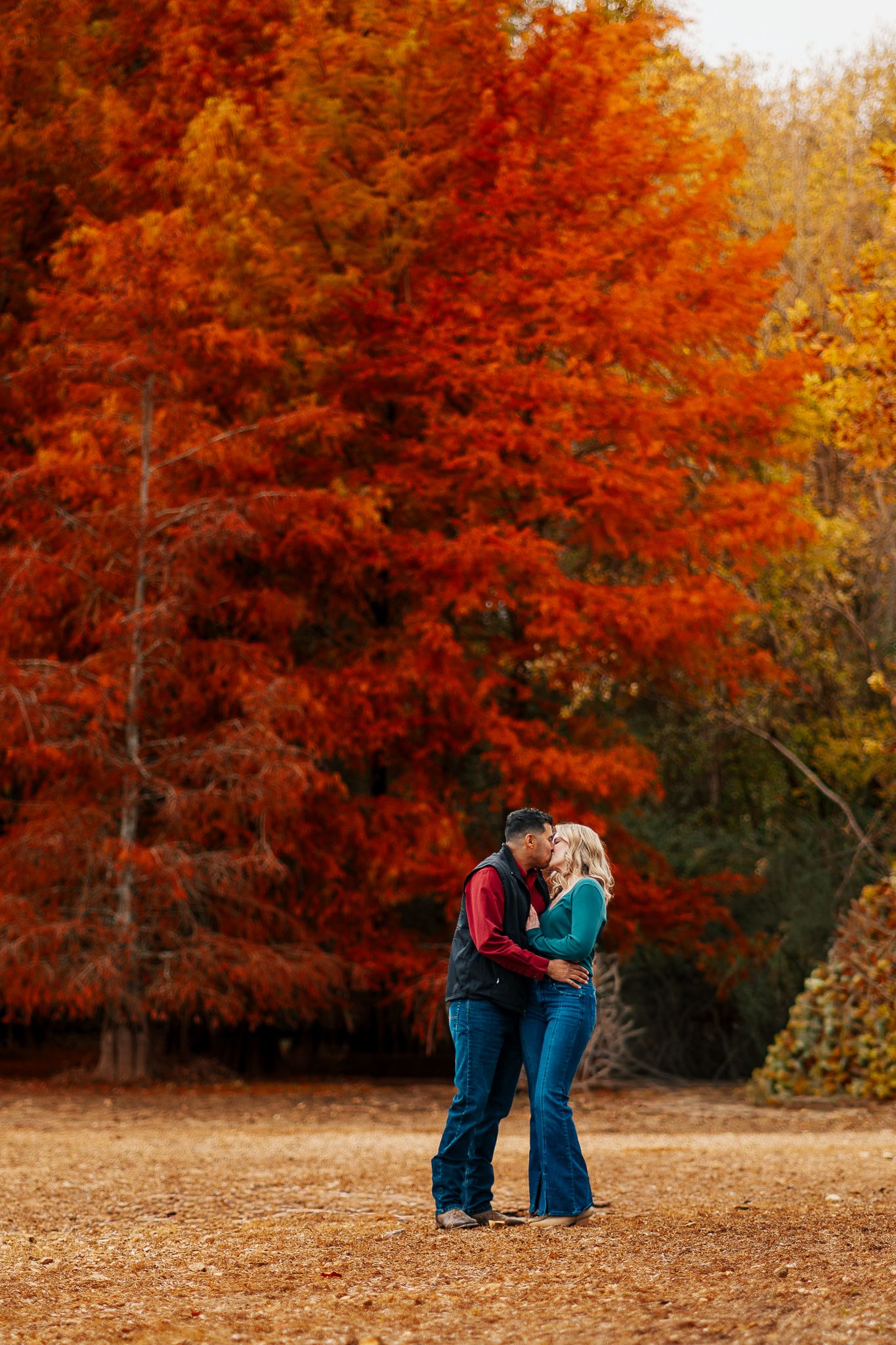 A romantic autumn scene with two people embracing against a backdrop of vibrant orange fall foliage in a park.