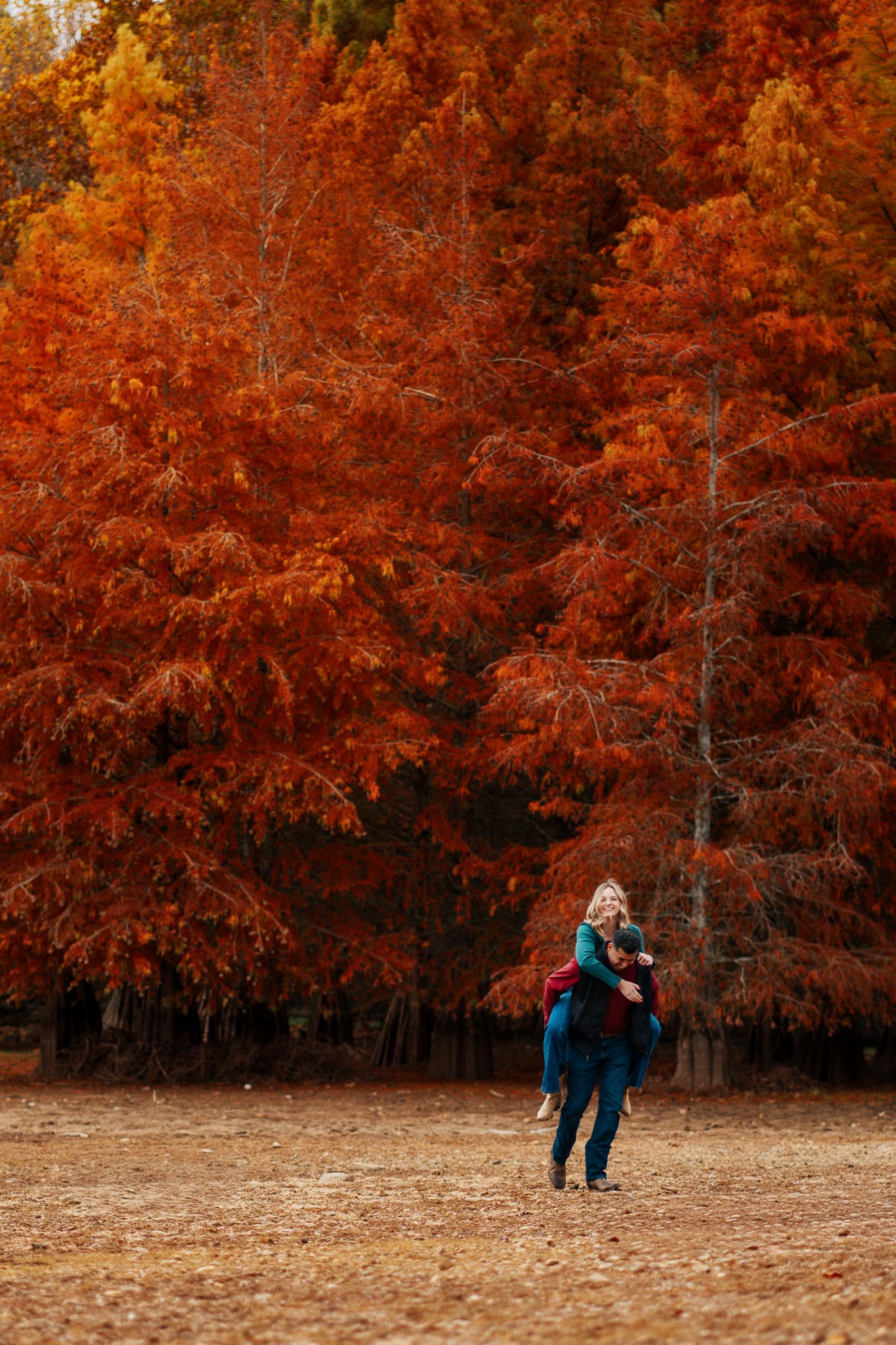 A couple walks through a field surrounded by vibrant orange autumn trees on a crisp fall day.