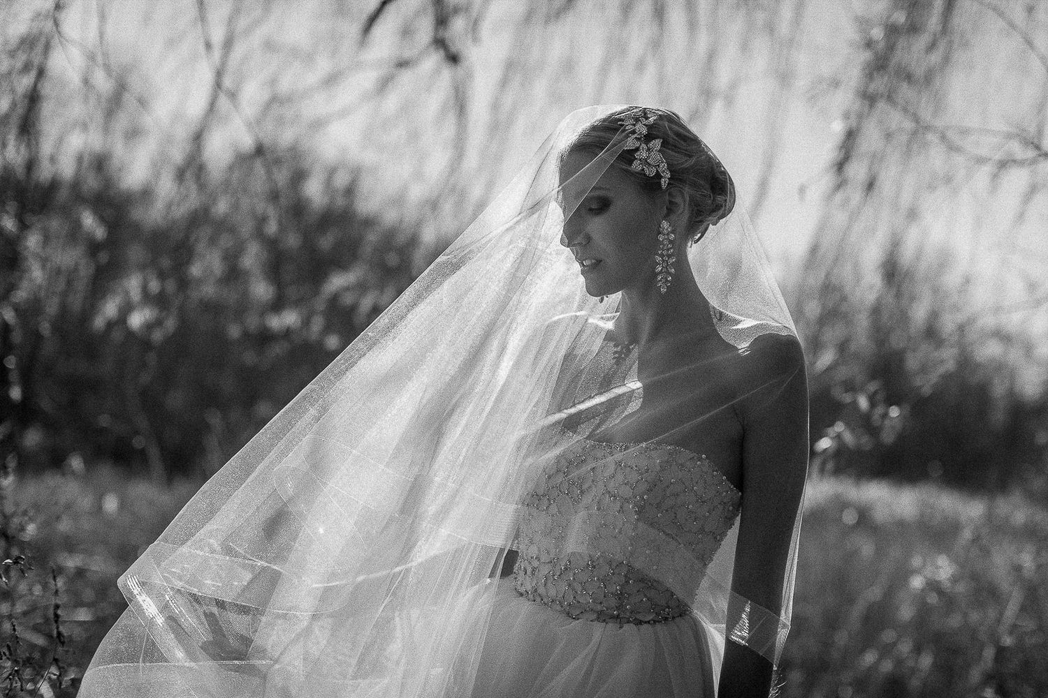 A flowing wedding veil catches sunlight and creates a dreamy silhouette against a natural outdoor background.