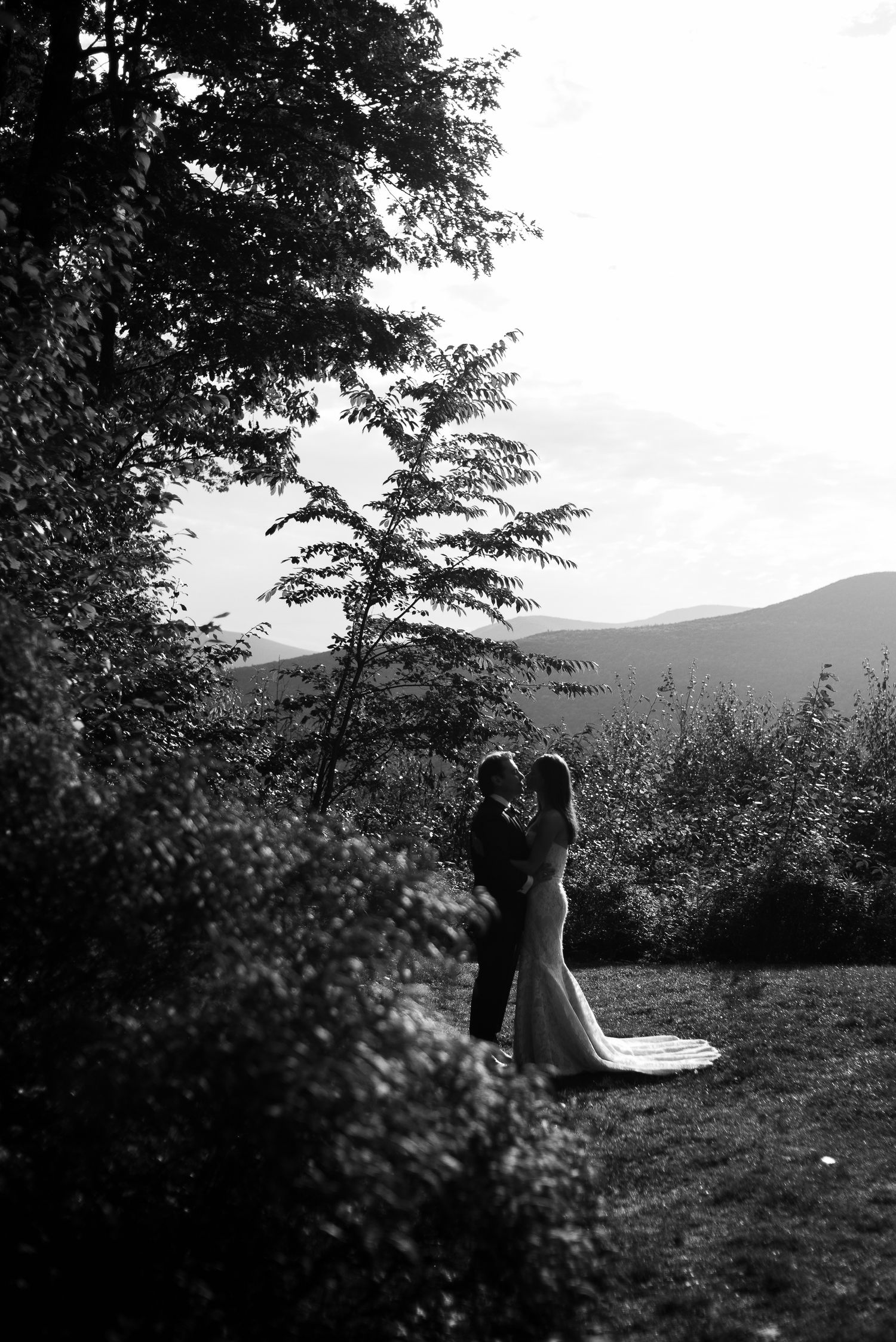 A silhouetted couple sits together on a hillside against a moody sky with trees framing the romantic scene.