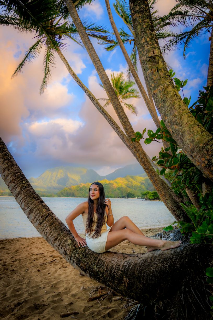 Scenic tropical beach setting with curved palm trees and mountains in distance.